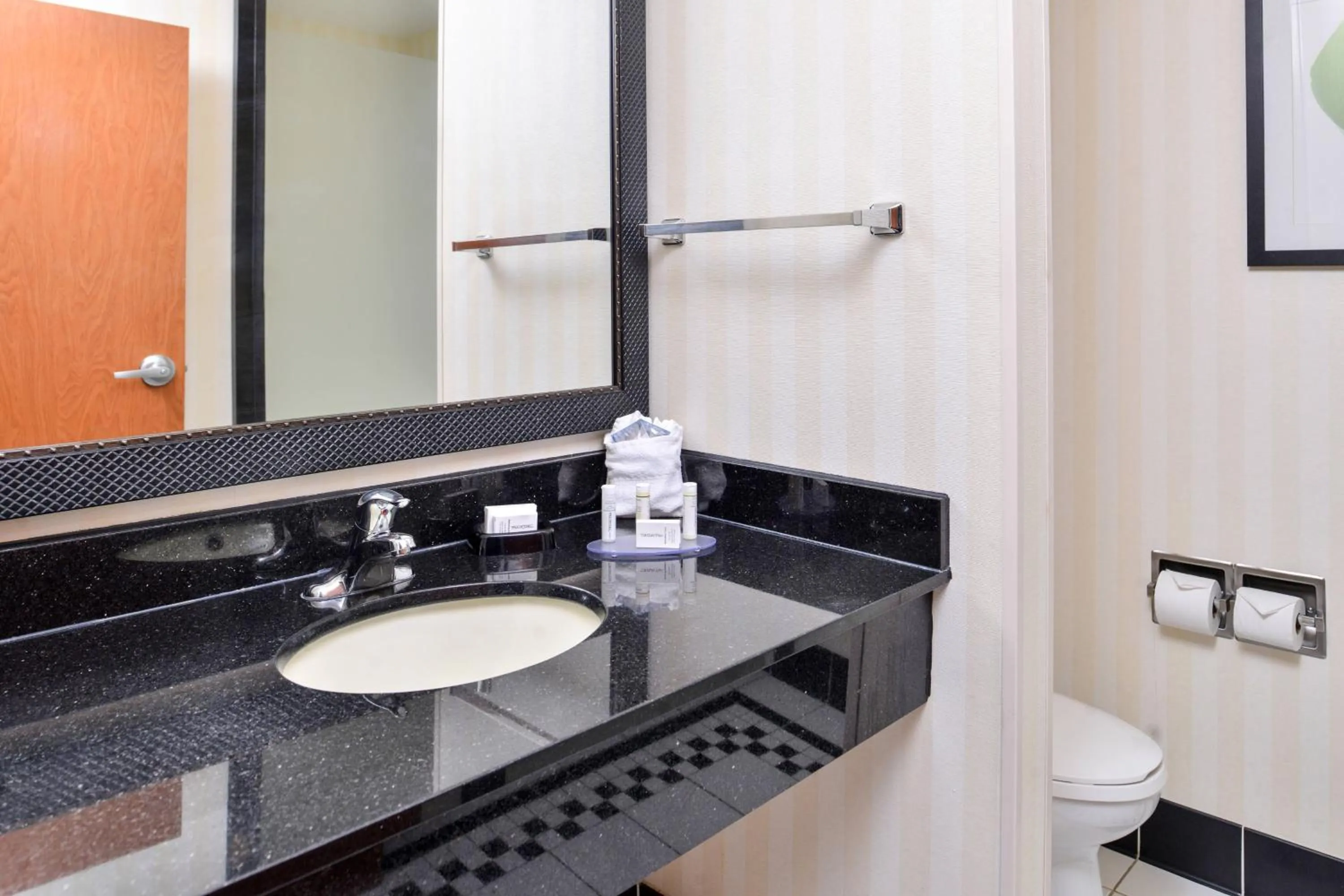 Bathroom in Fairfield Inn and Suites by Marriott Birmingham Pelham/I-65