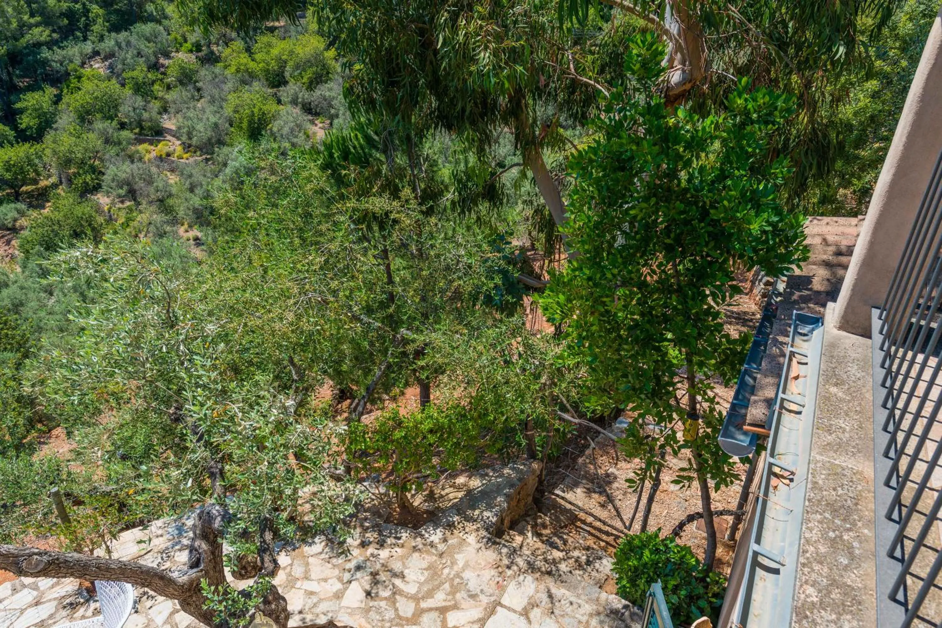 Mountain view in Son Bou