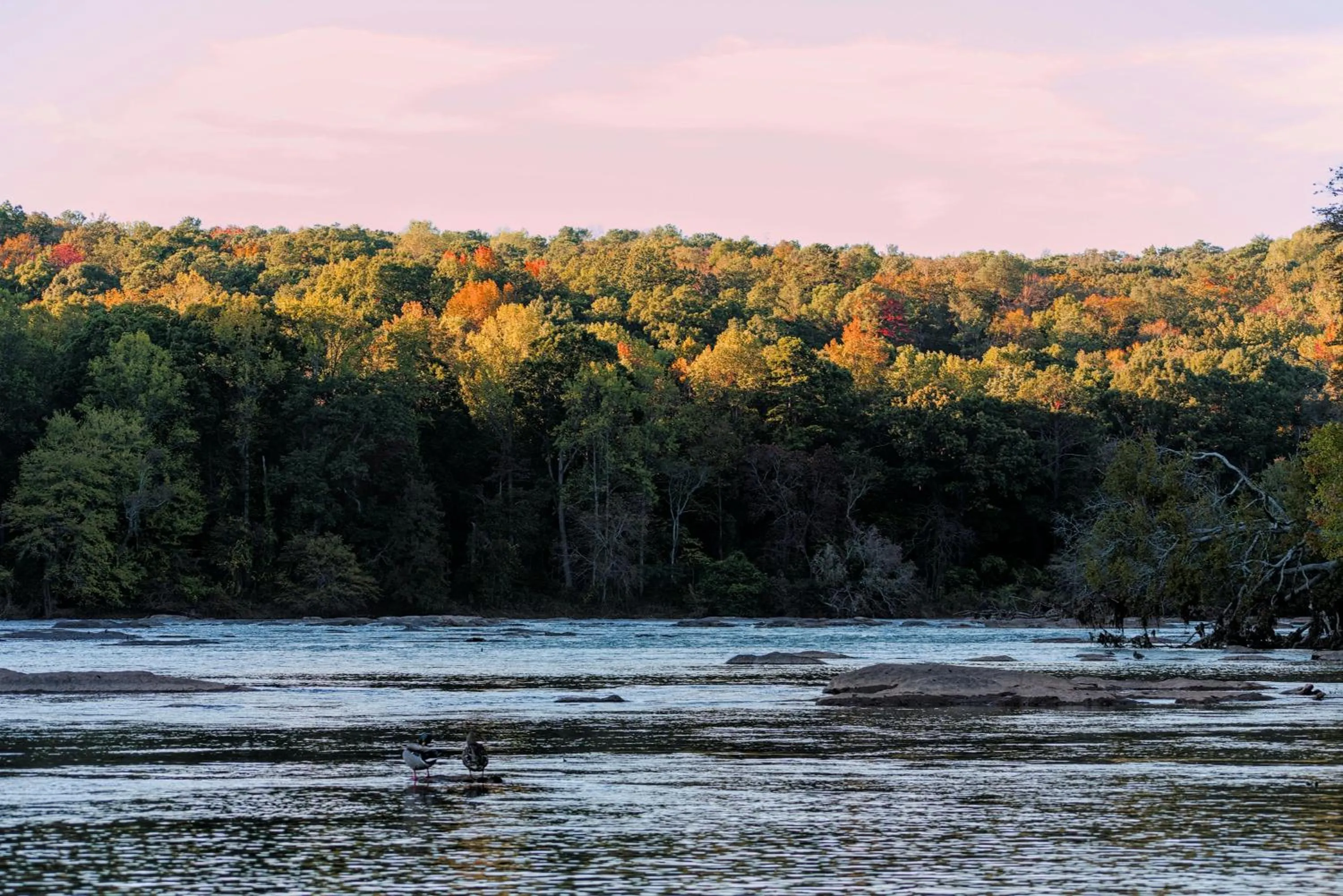 Nearby landmark in The Westin Atlanta Perimeter North