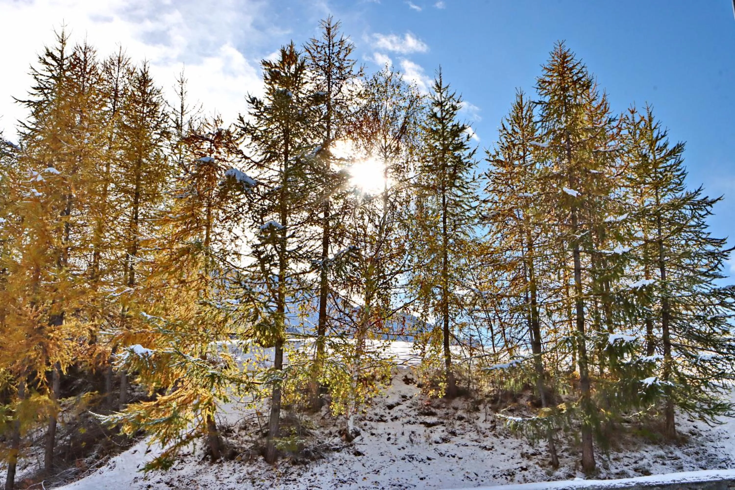 Natural landscape in Hotel Chacaril