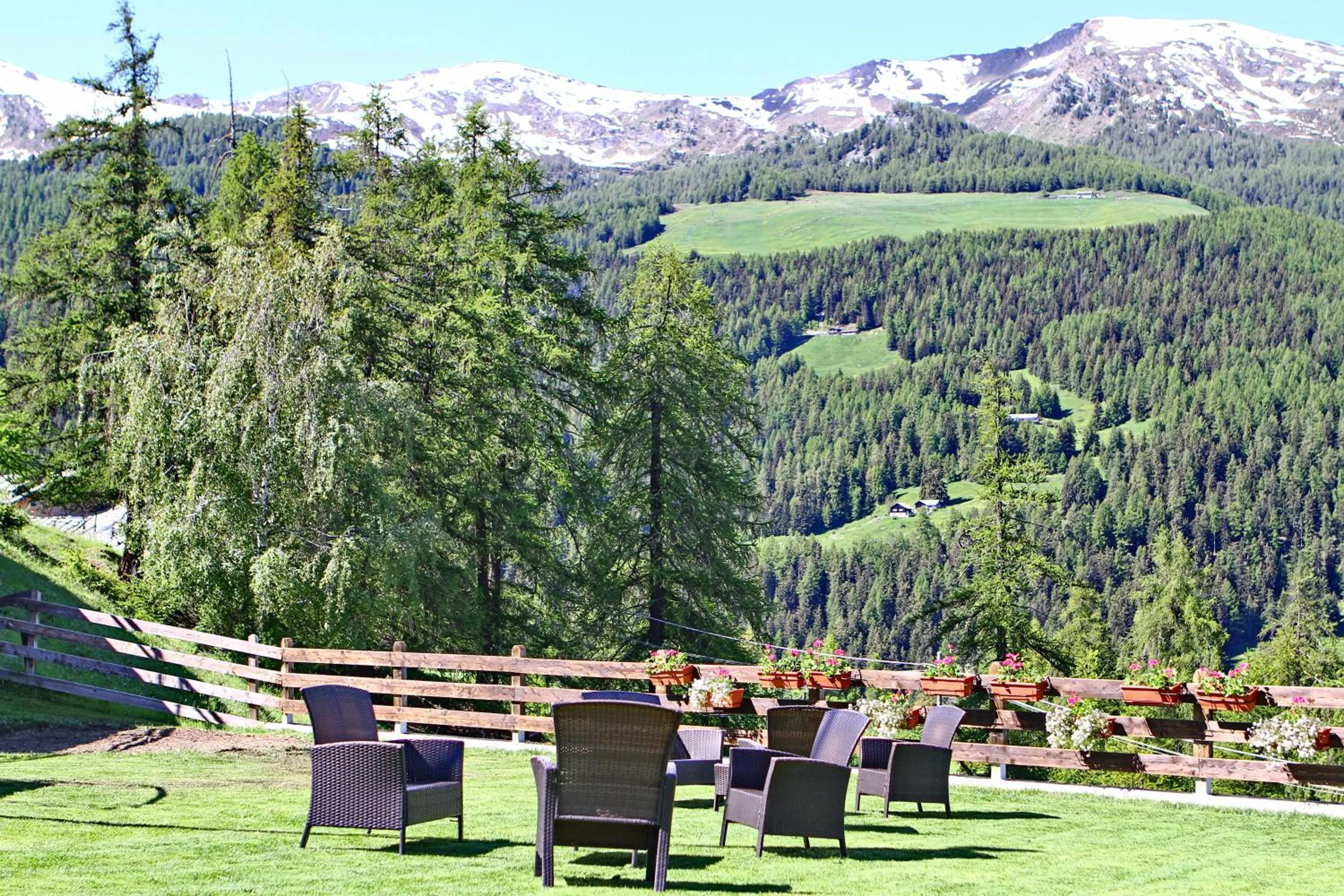 Garden in Hotel Chacaril