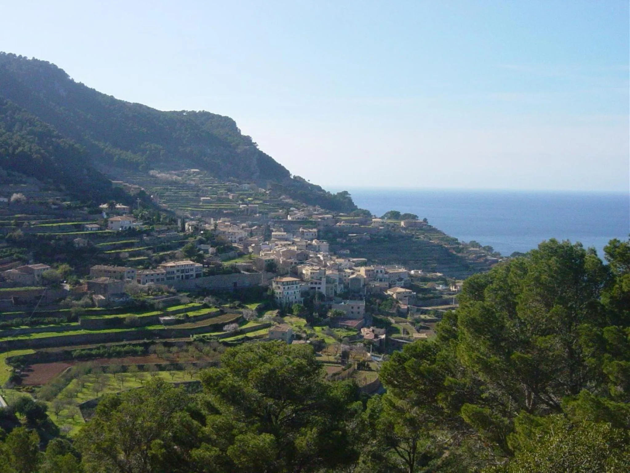 Natural landscape in Can Busquets