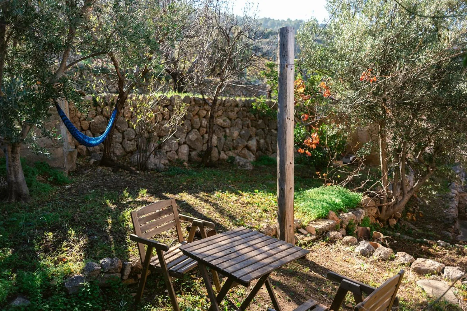 Spring in Can Busquets