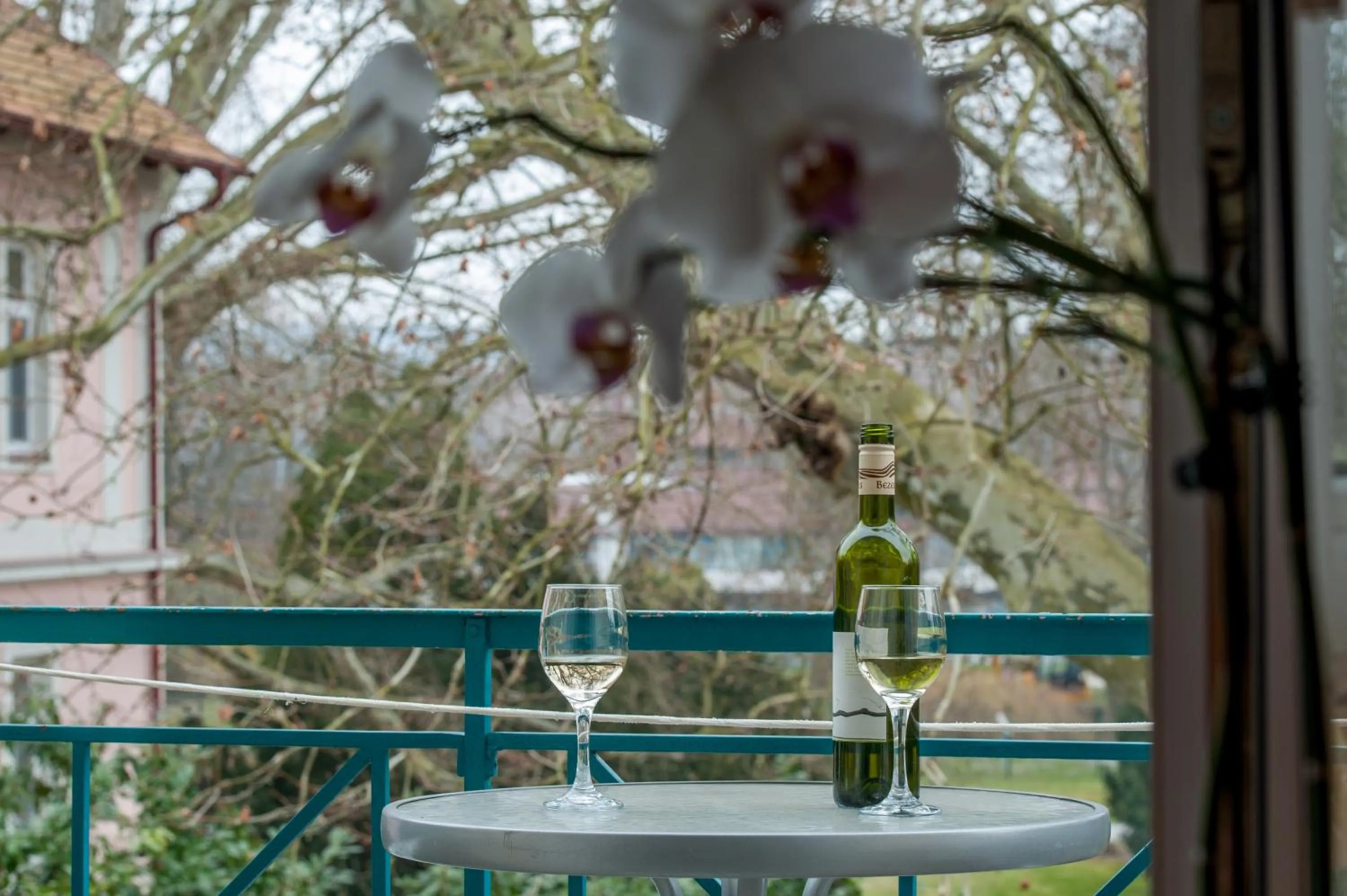 Neighbourhood in Hotel Spa Hévíz