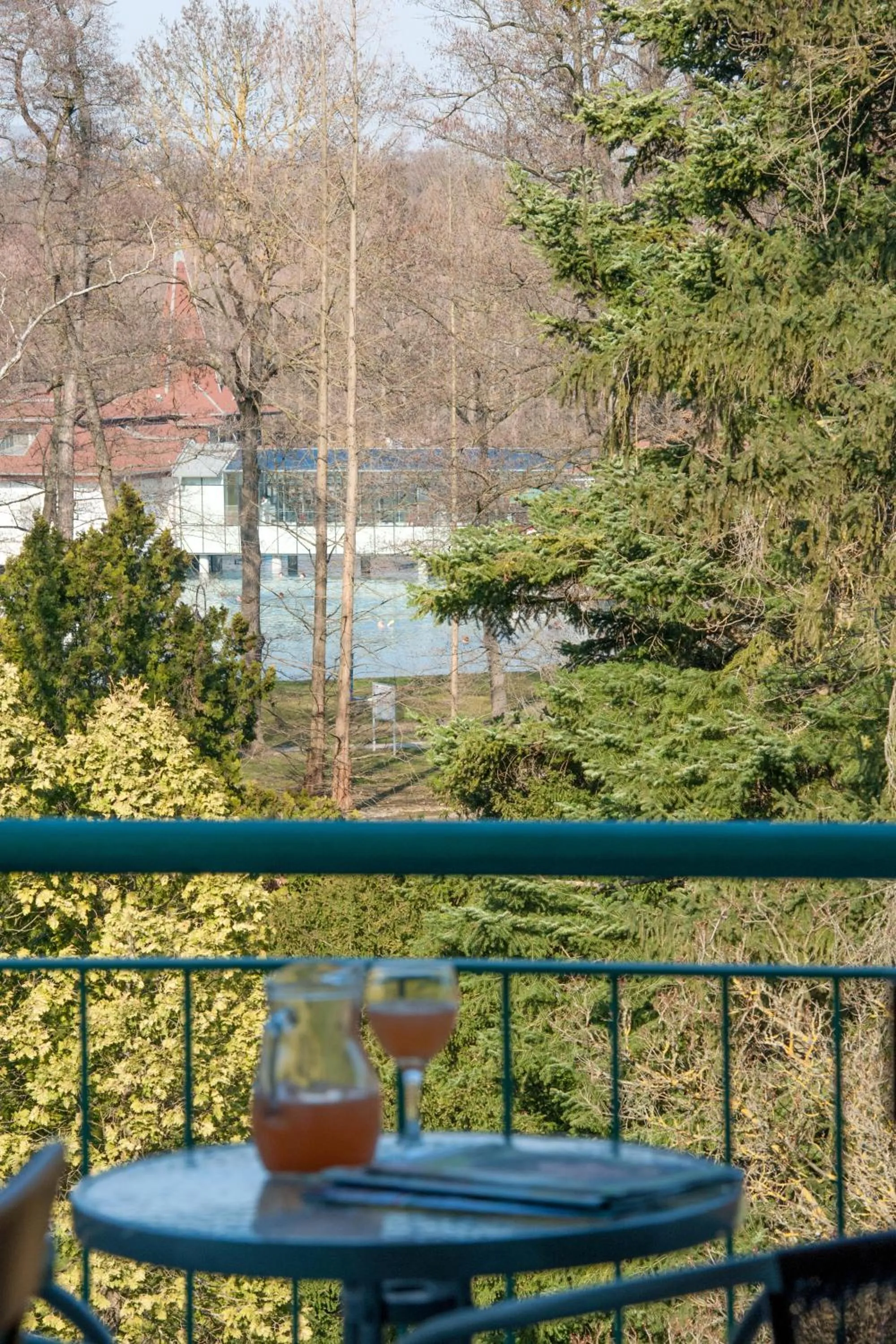 Neighbourhood in Hotel Spa Hévíz