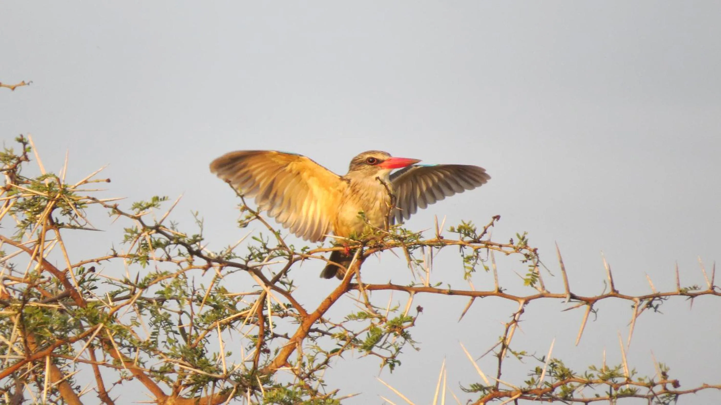 Burlington Bush Cottages by The Oyster Collection