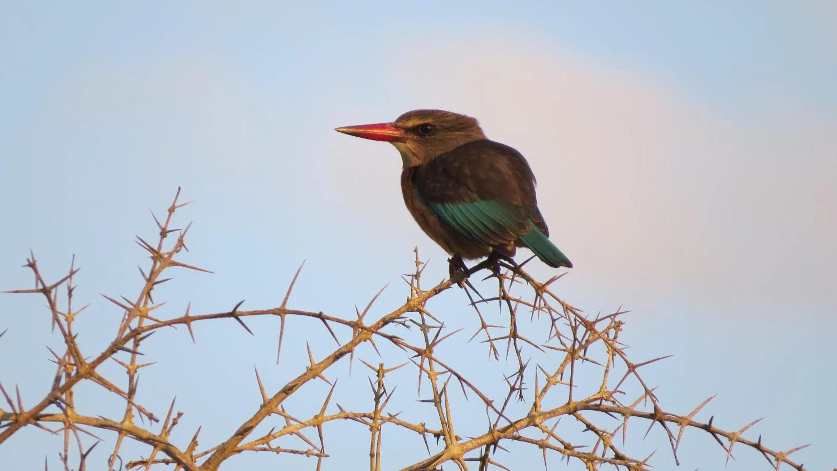 Burlington Bush Cottages by The Oyster Collection