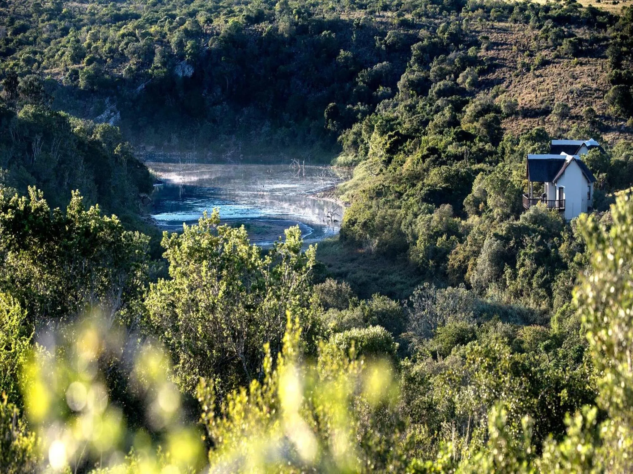 Day in Burlington Bush Cottages by The Oyster Collection