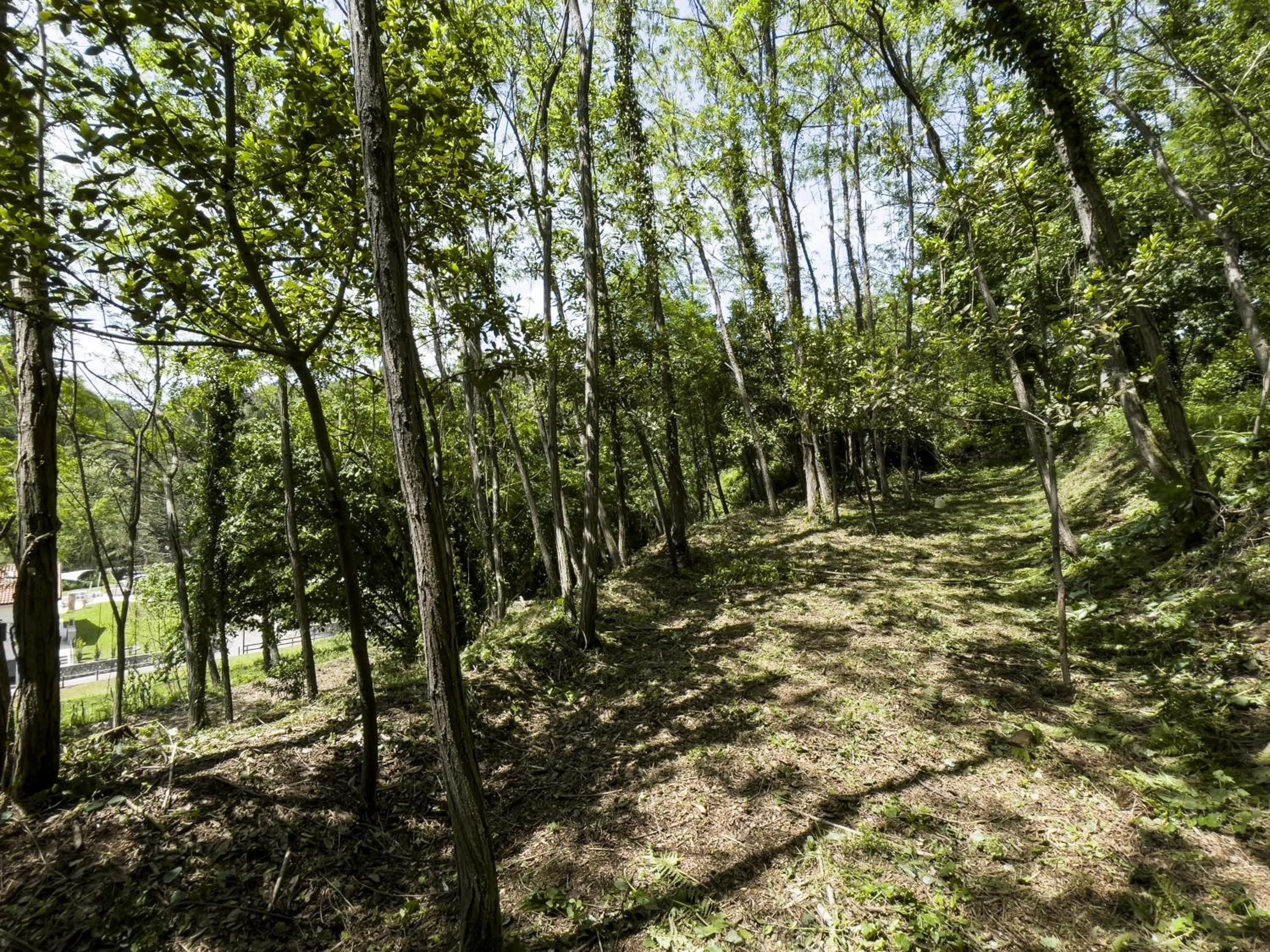 Garden in Le Village Sarzana