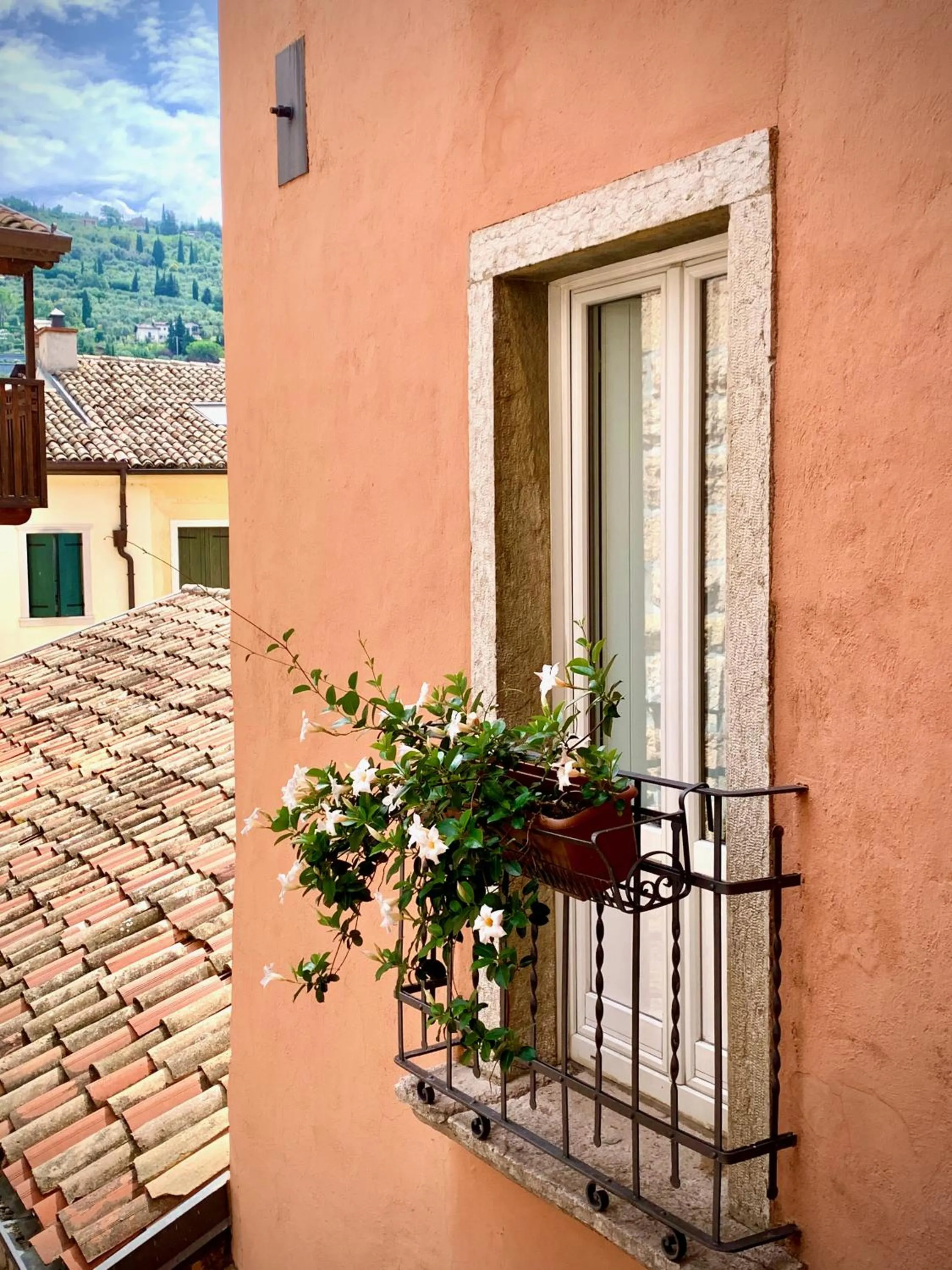 View (from property/room) in Albergo Gardesana