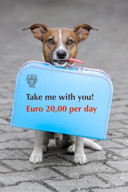 View (from property/room) in Albergo Gardesana