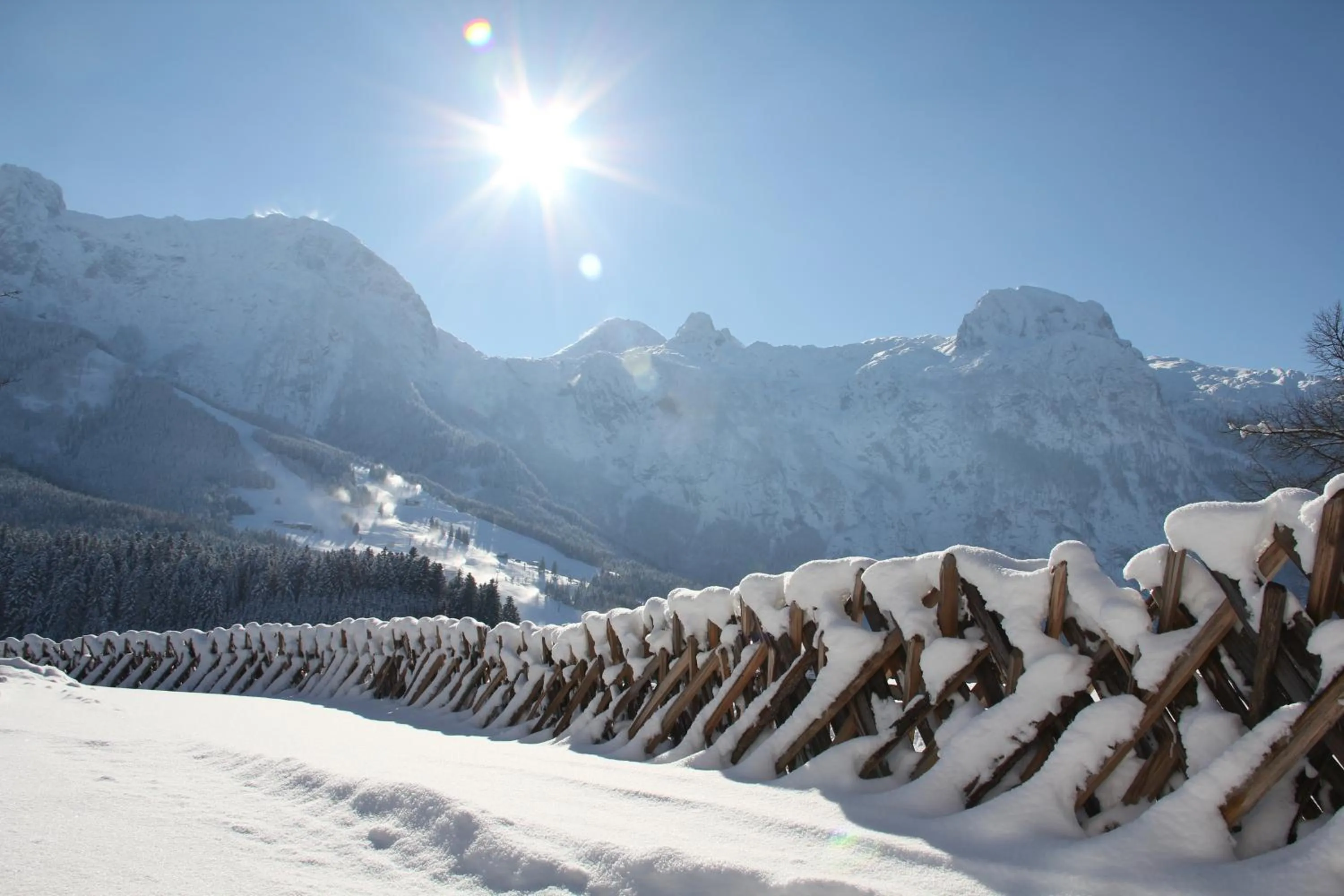 Natural landscape in Hotel Goldener Stern