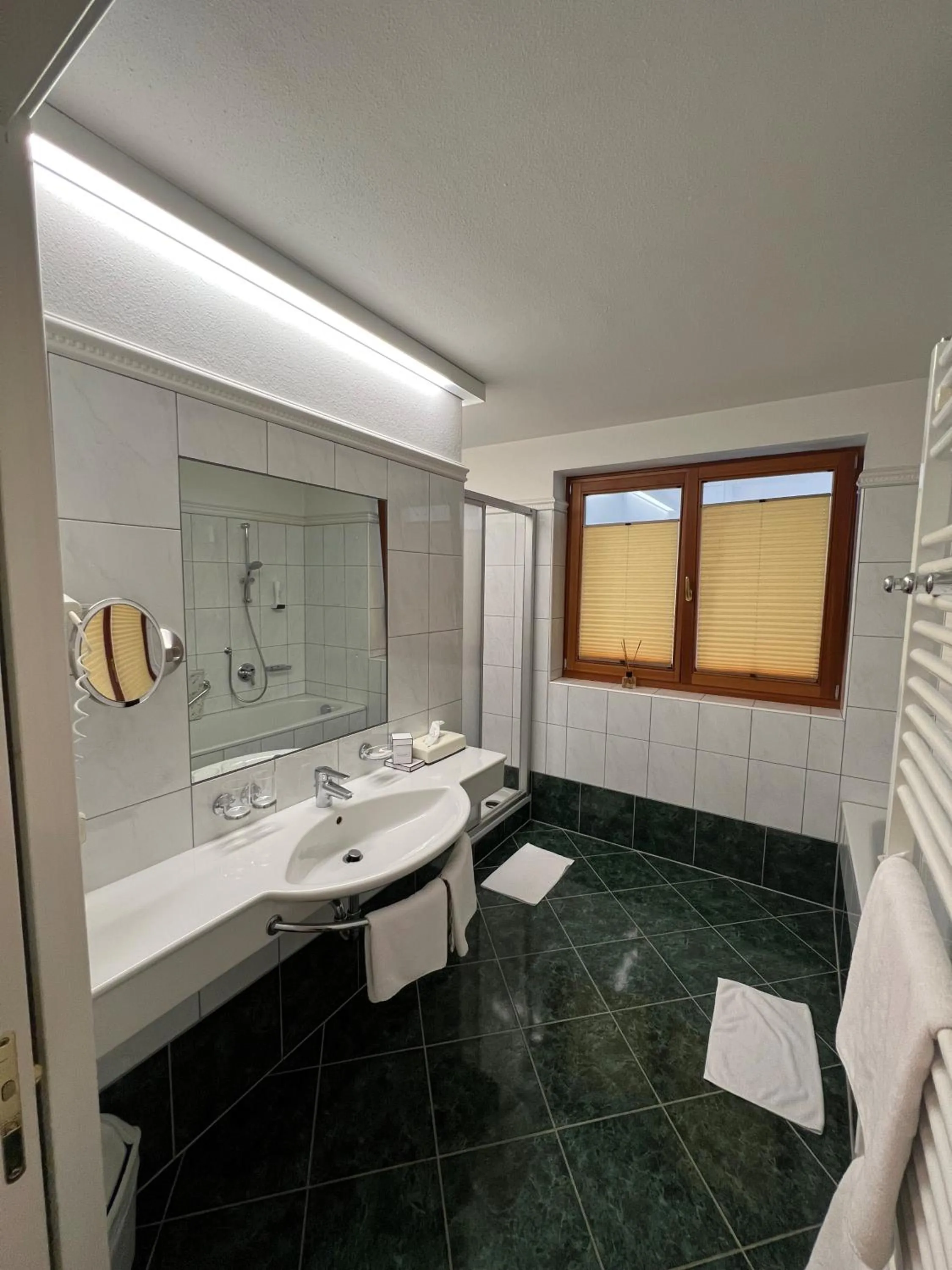 Bathroom in Hotel Goldener Stern