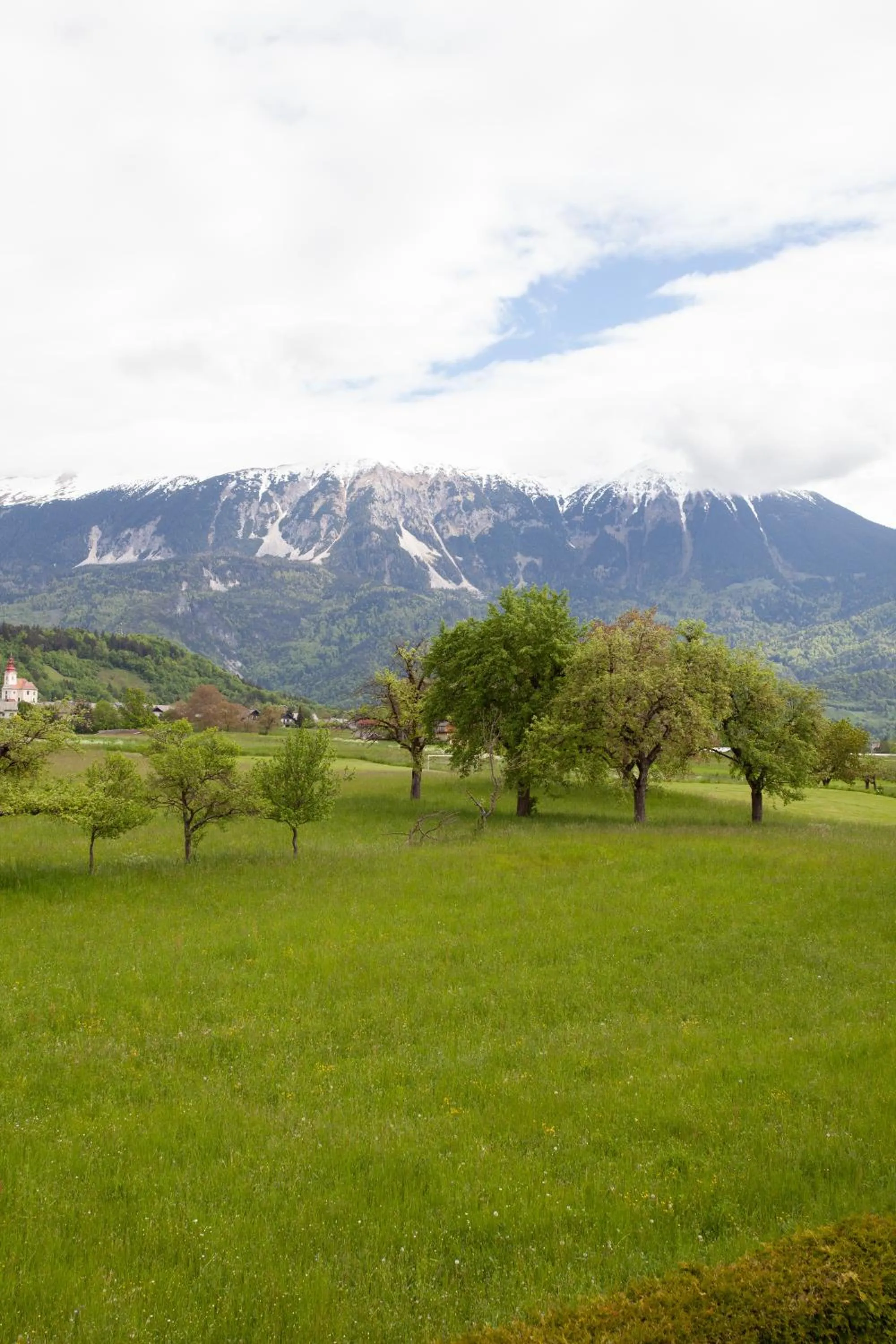 View (from property/room) in Pension Bled