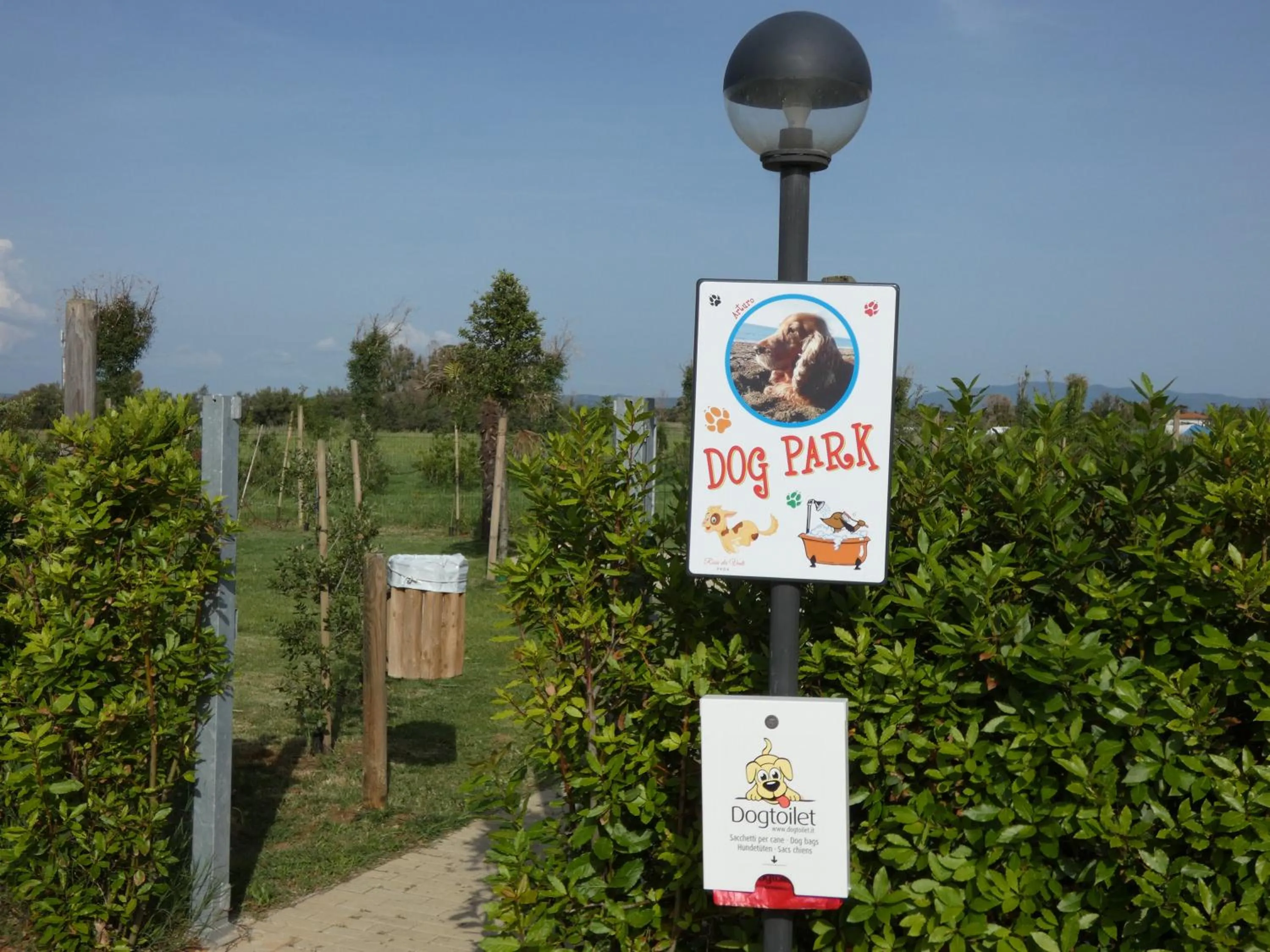 Logo/Certificate/Sign in Rosa Dei Venti