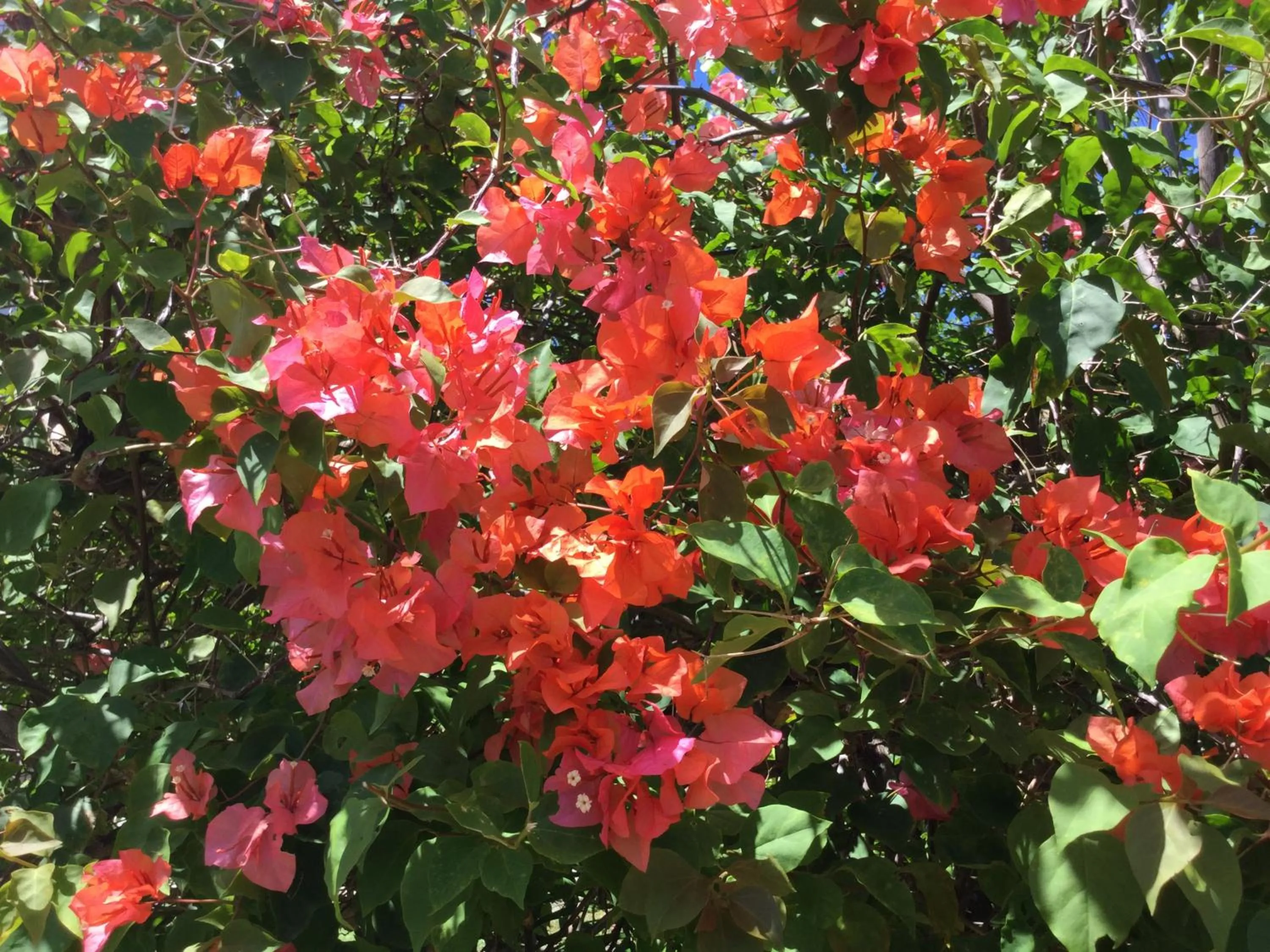 Fantastic views at Friends