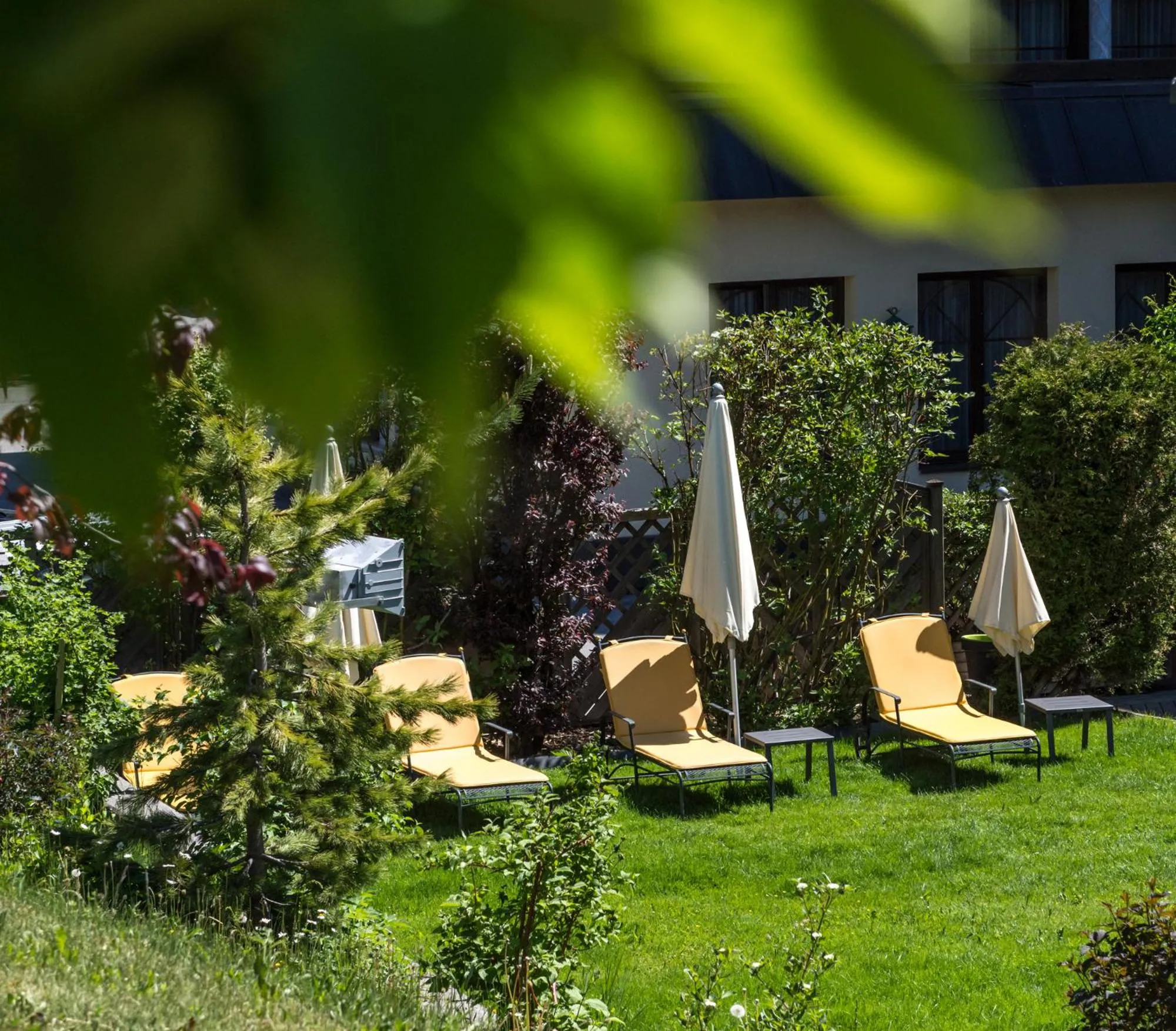 Garden in Hotel Alte Post