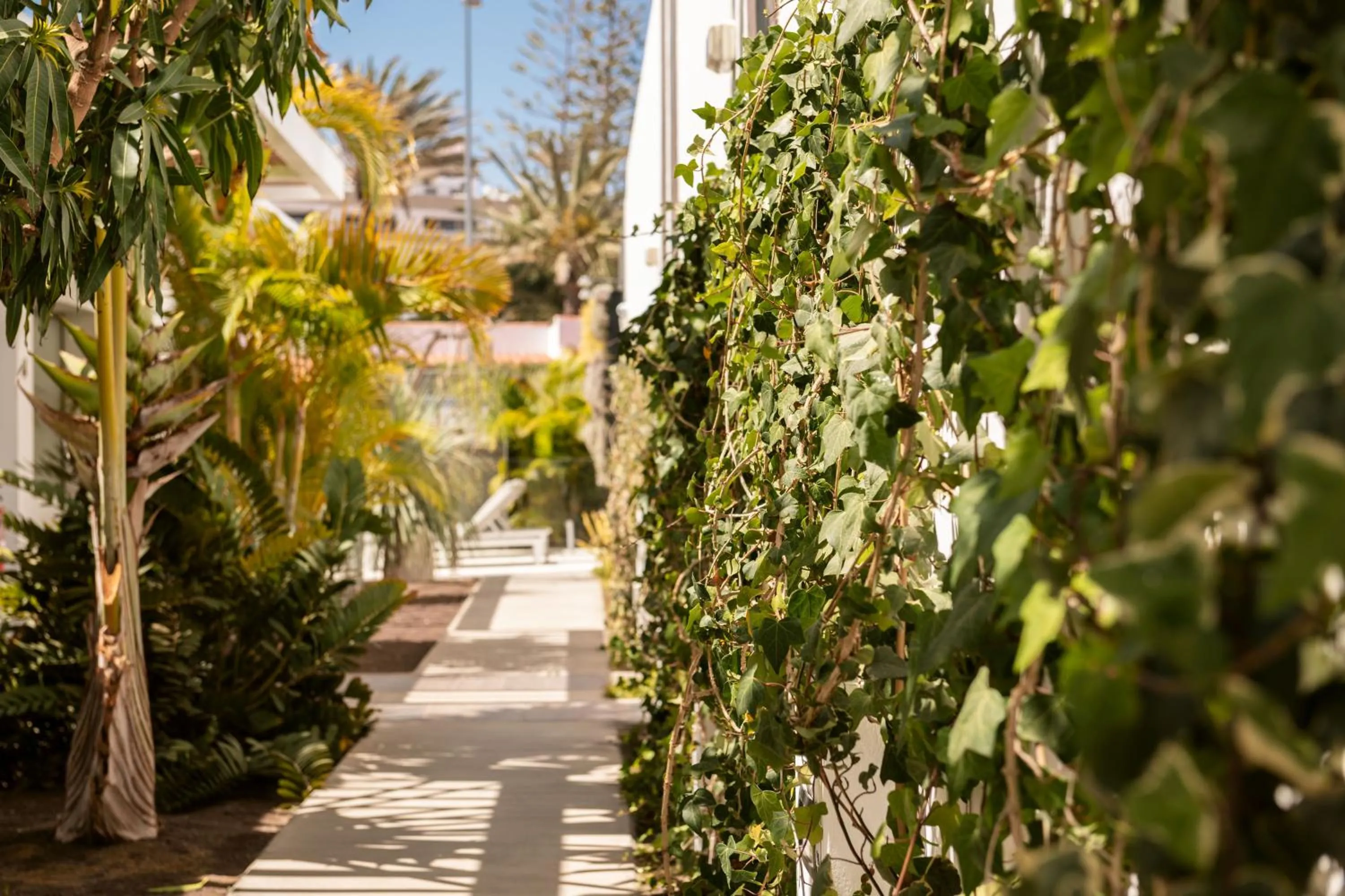 Garden in Silvi Villas by TAM Resorts