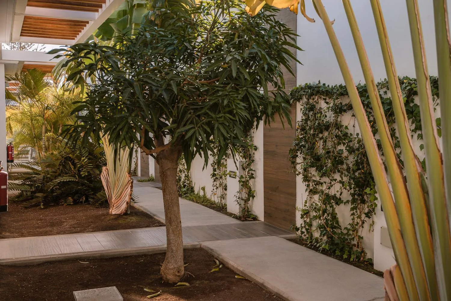 Garden in Silvi Villas by TAM Resorts