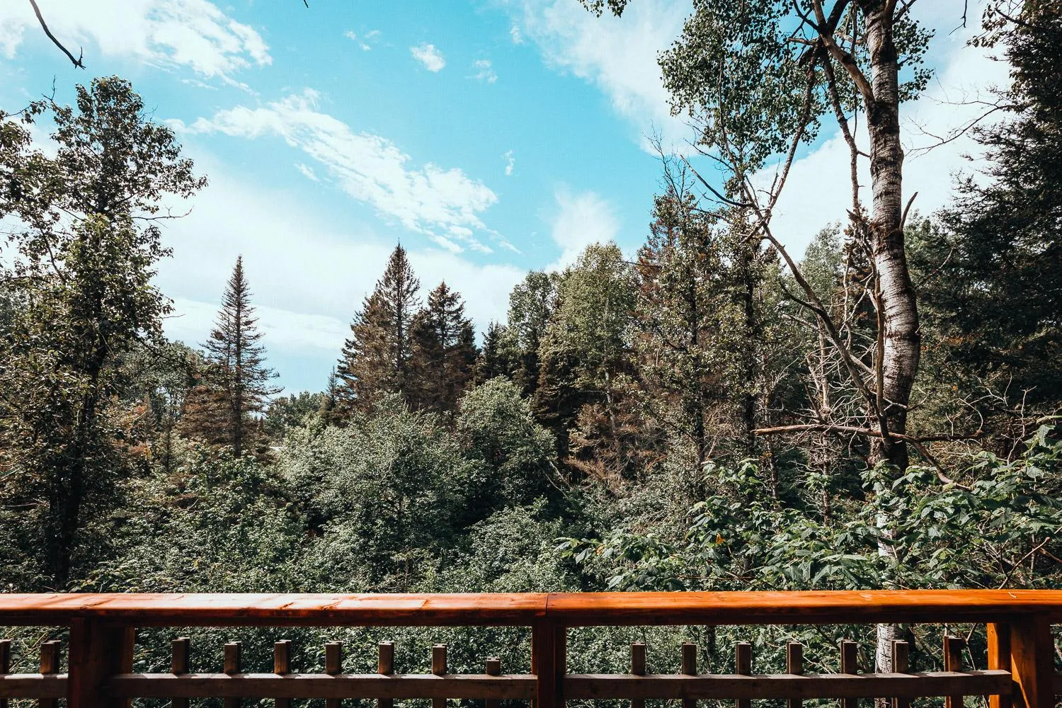 Spring in Canopée Lit