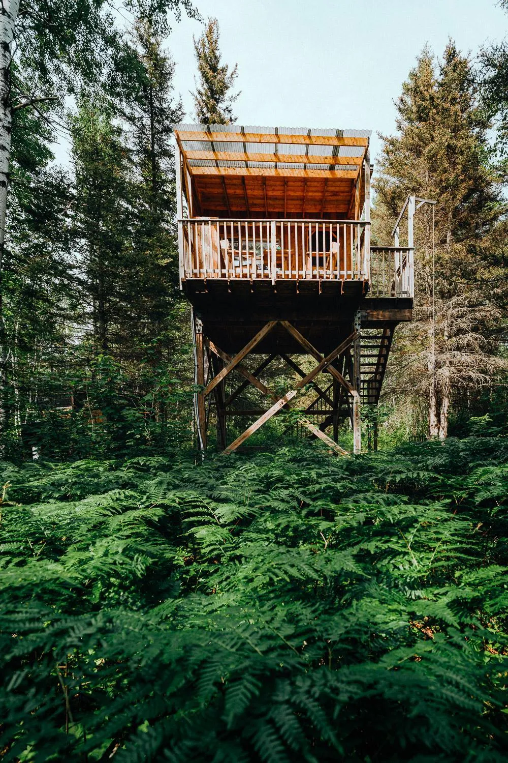 Natural landscape in Canopée Lit