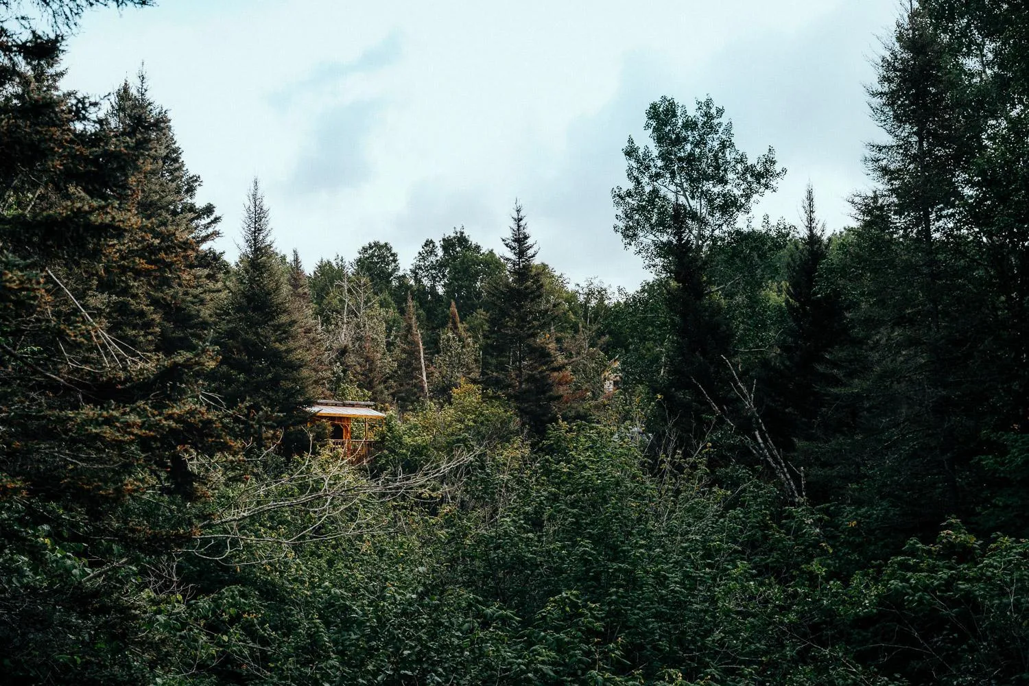 Natural landscape in Canopée Lit