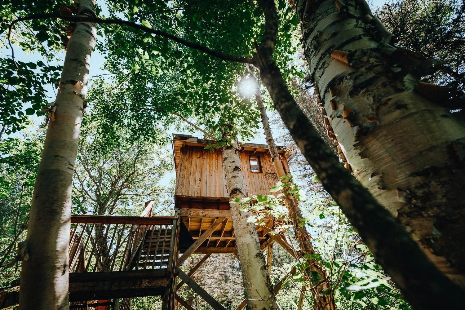 View (from property/room) in Canopée Lit