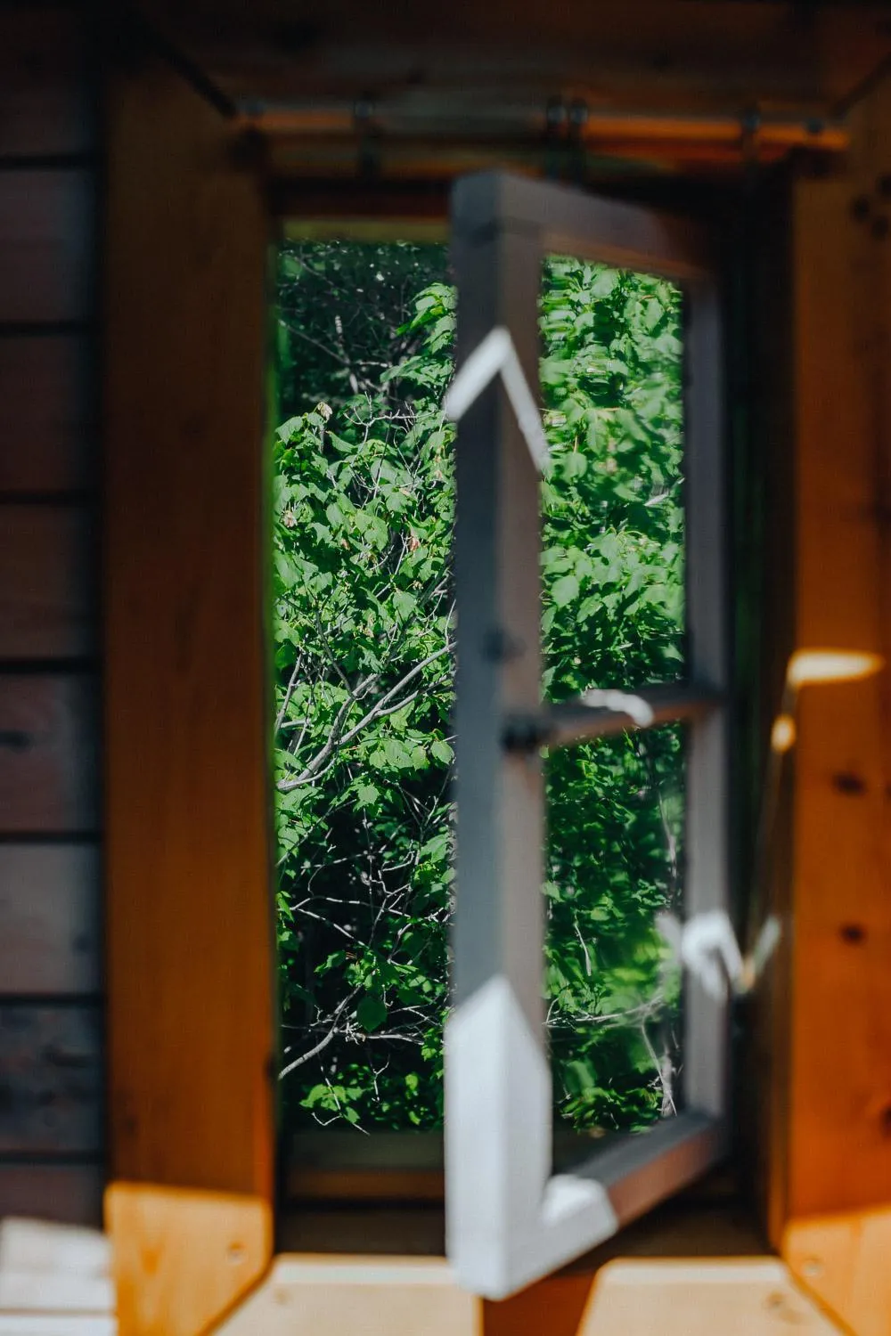 Natural landscape in Canopée Lit