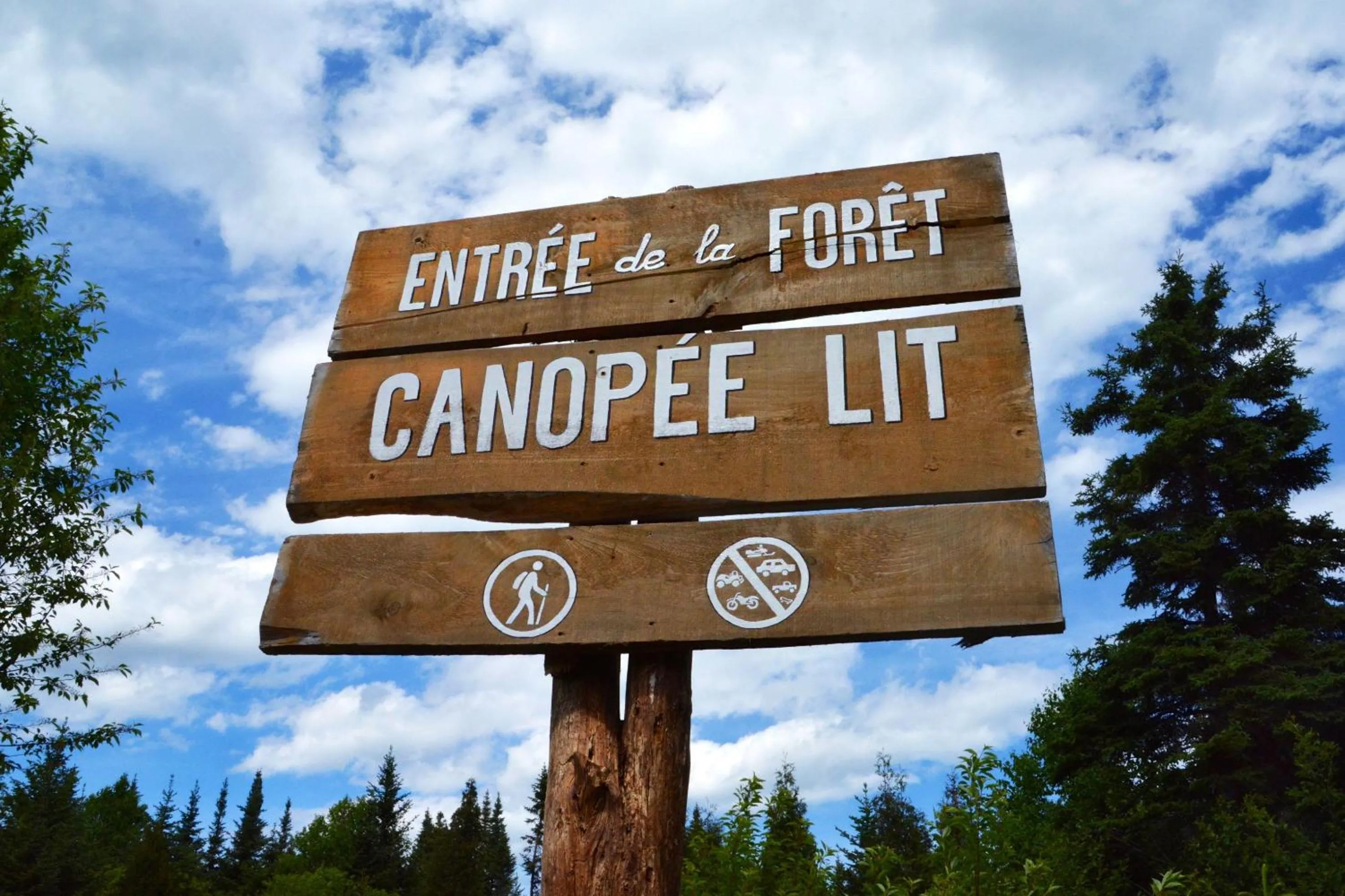 Logo/Certificate/Sign in Canopée Lit