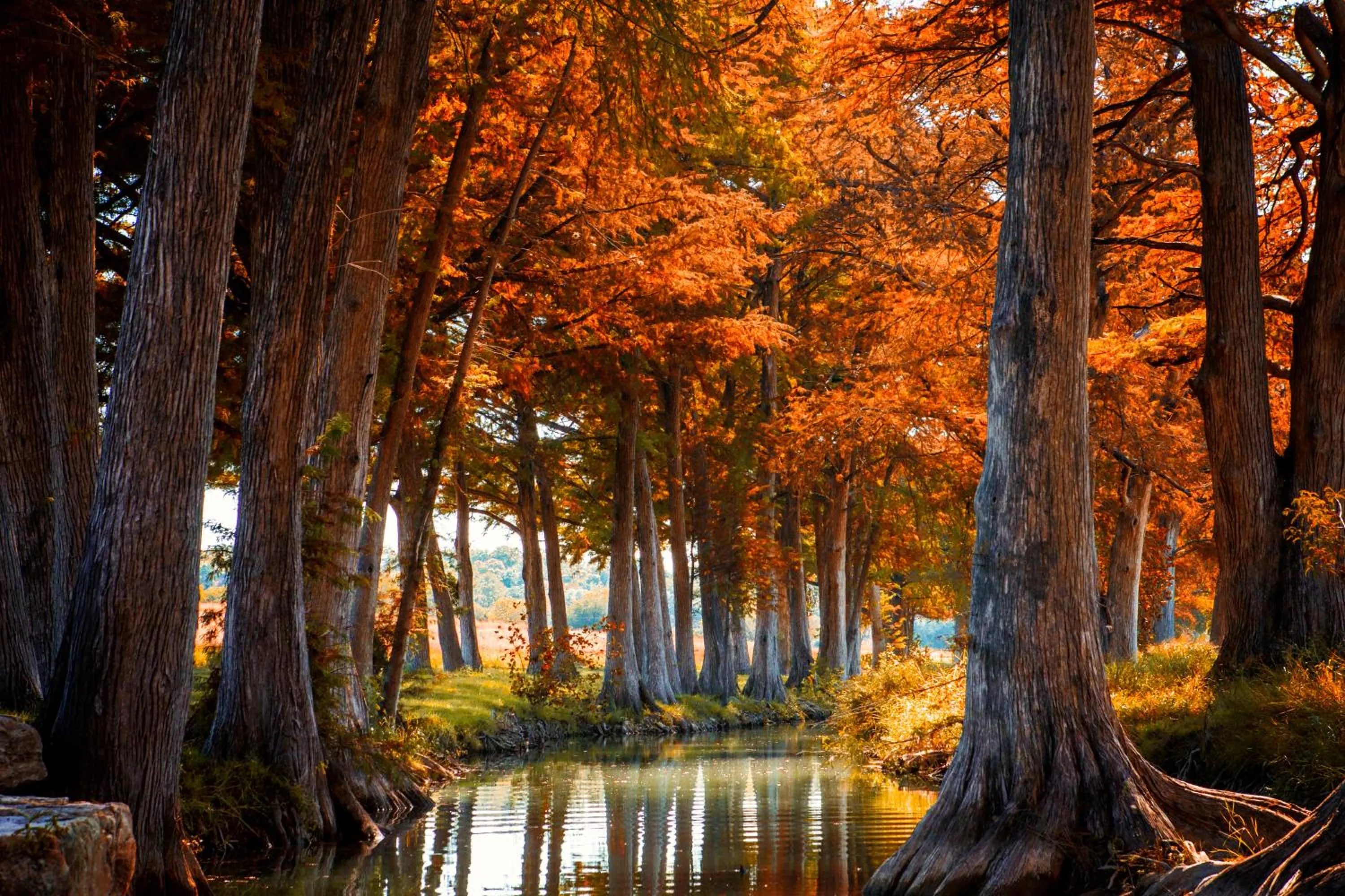 Fishing in Joshua Creek Ranch