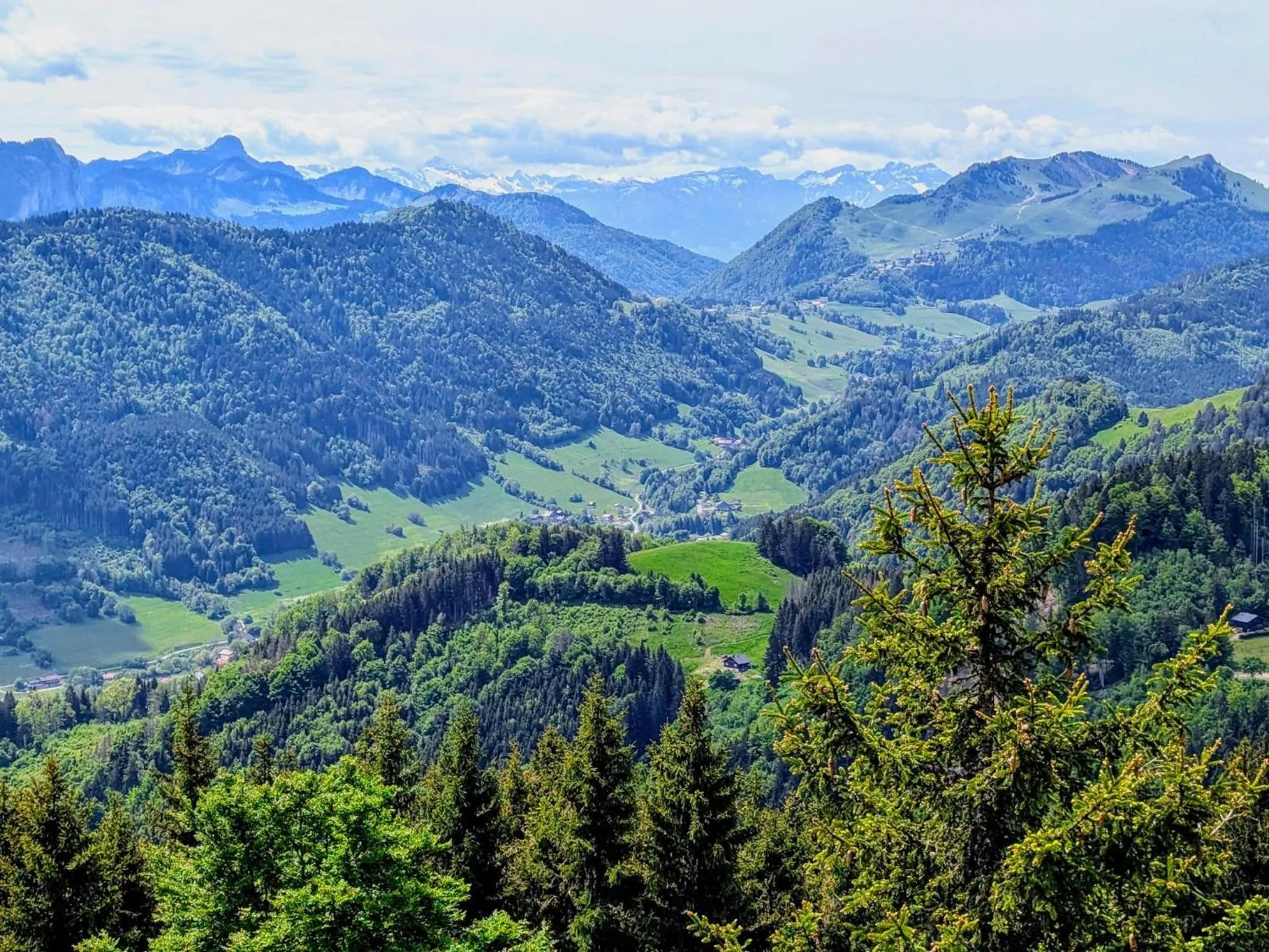 Mountain view in Hotel Thonon Centre Le Comte Rouge