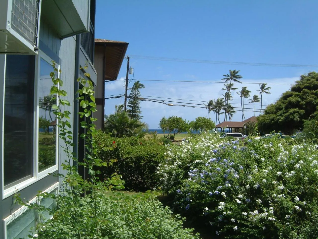 Hale Pua Villa - Seaside Studio