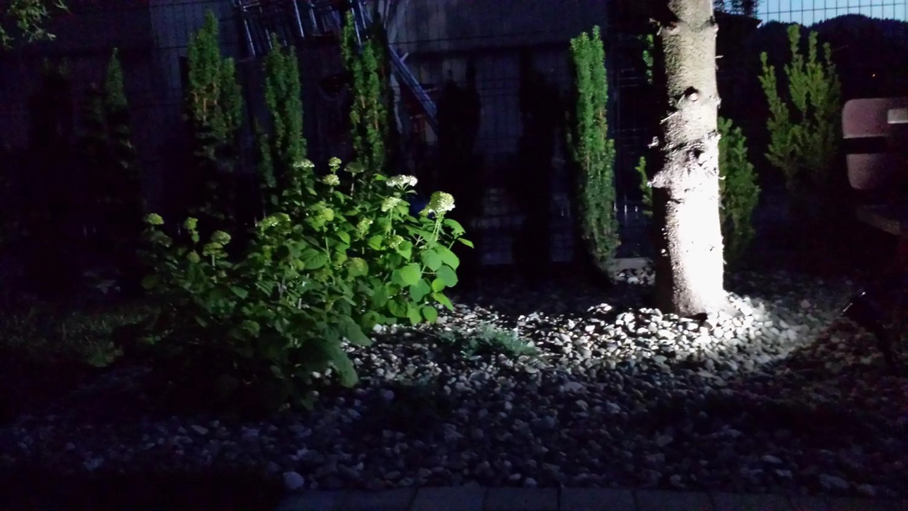 Garden in Willa Anna