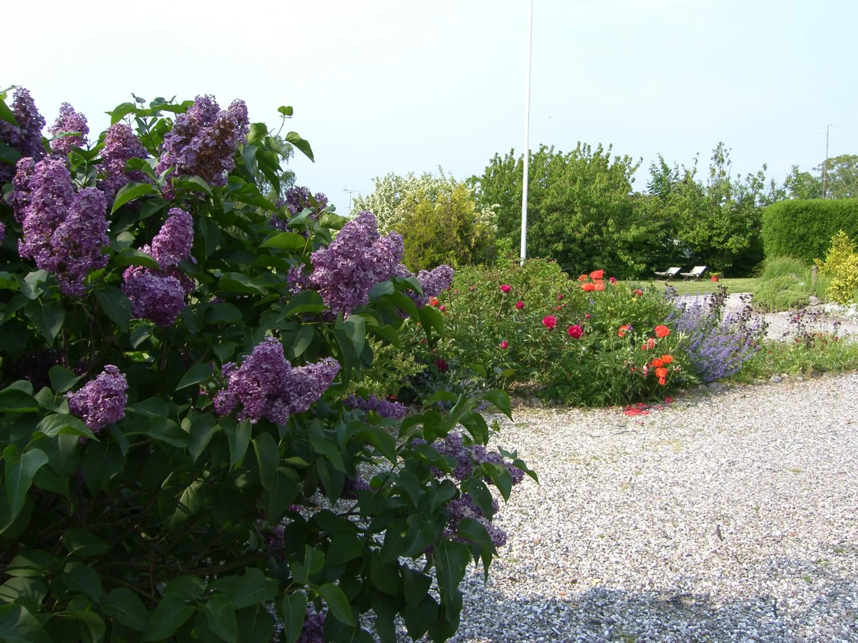 Day in Møn Klintholm Vintage B&B