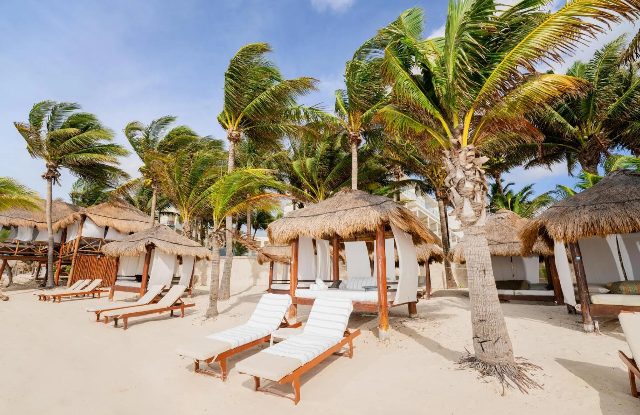 Beach in Palmar Beach Resort and Spa Riviera Maya - All Inclusive