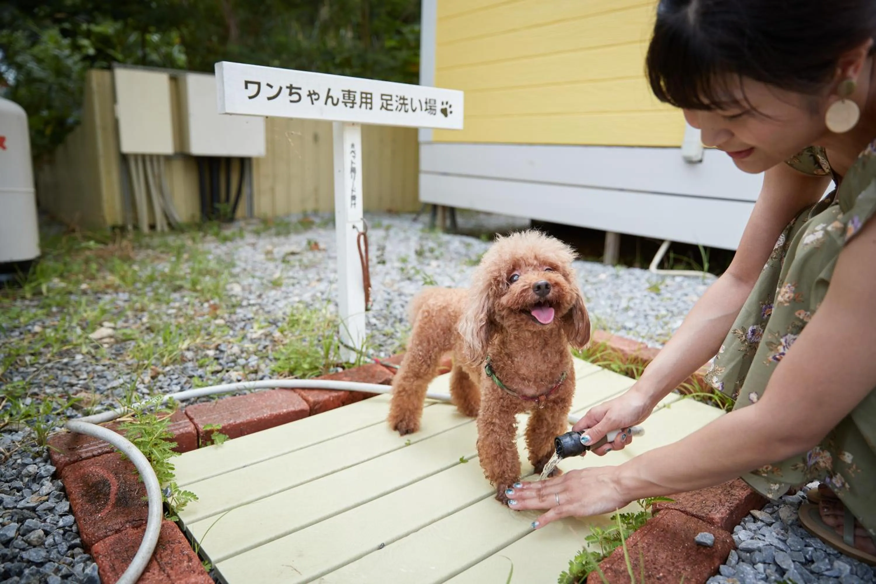 Animals in The Pool Resort OKINAWA