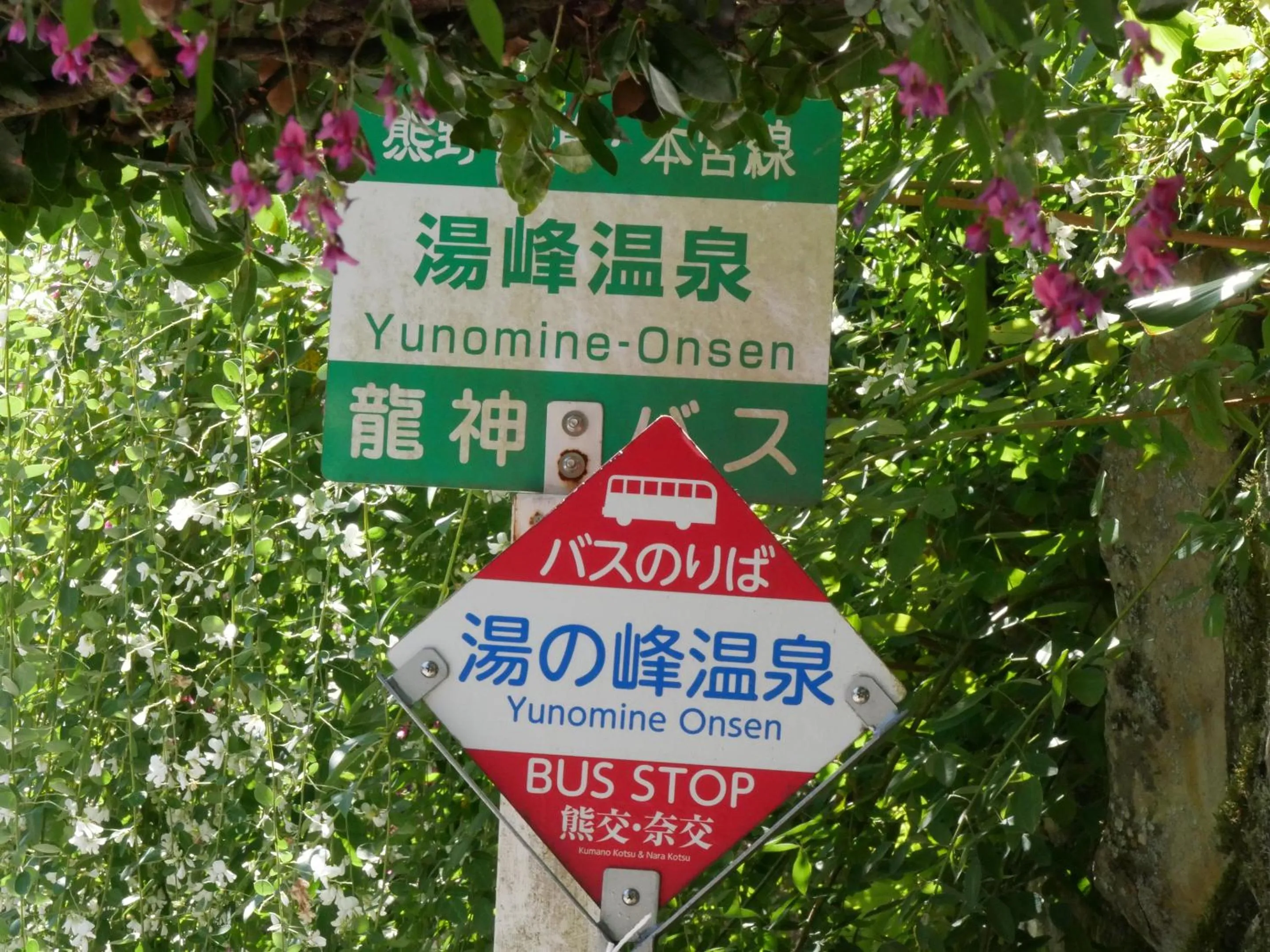 Other in J-Hoppers Kumano Yunomine Guesthouse