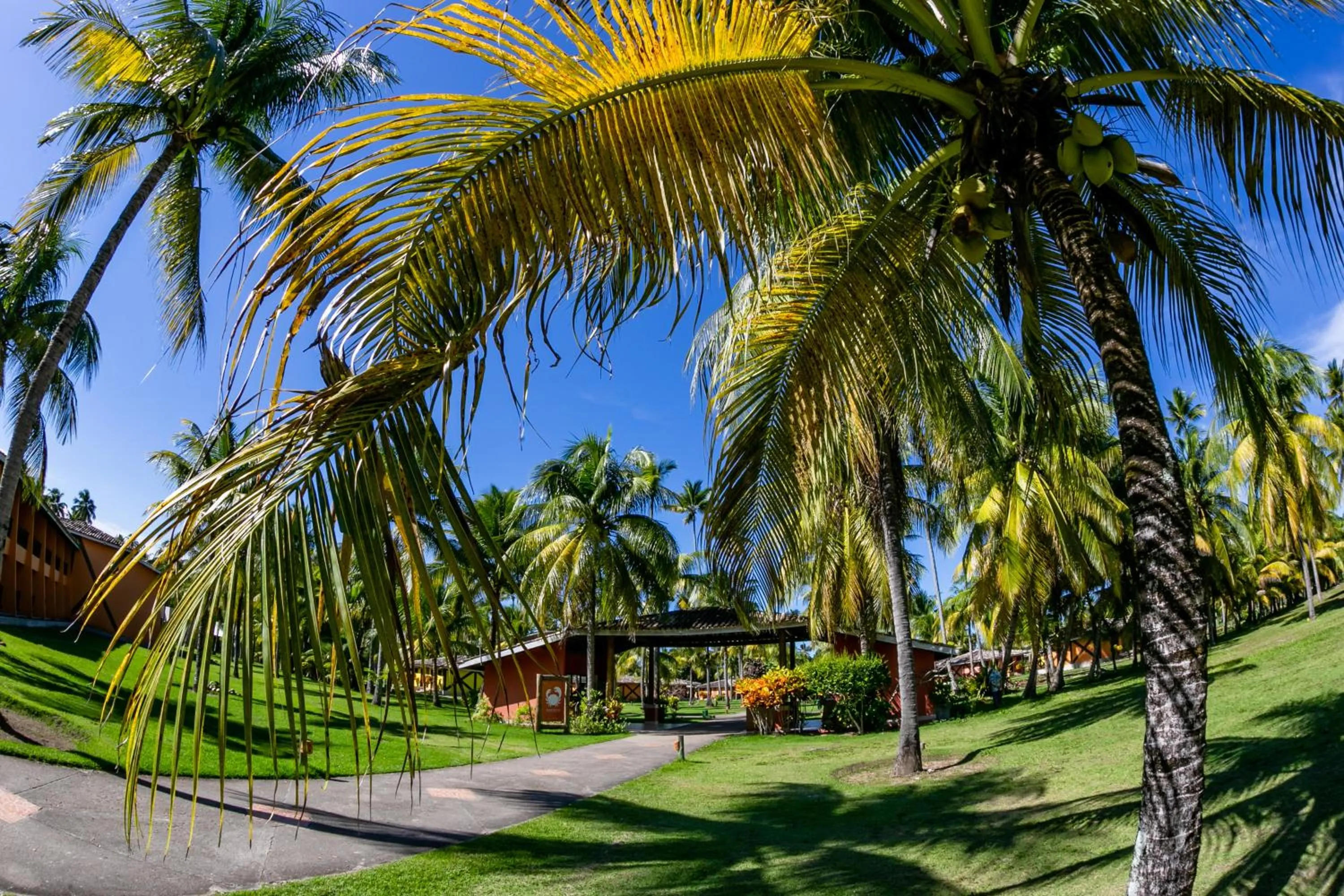Lobby or reception in Patachocas