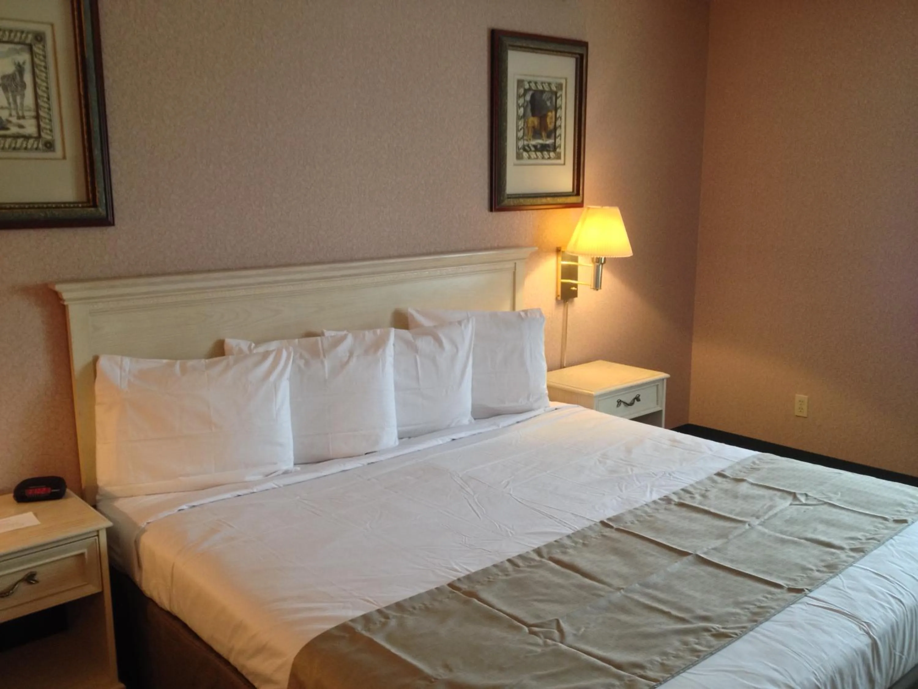 Bed in Parkside Inn Bridgeview