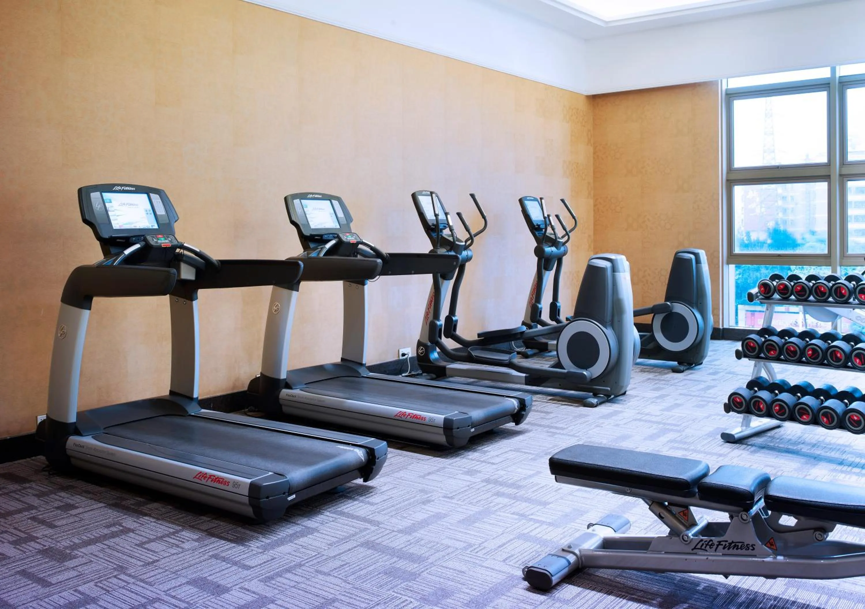 Fitness centre/facilities in Cinese Hotel Dongguan Shijie