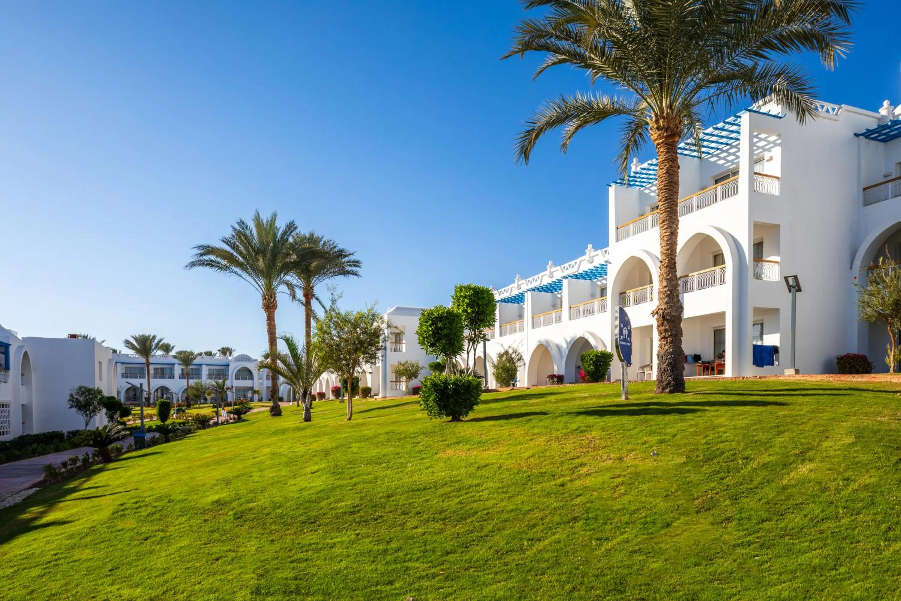 Garden in Pickalbatros Palace Sharm "Aqua Park"- All inclusive