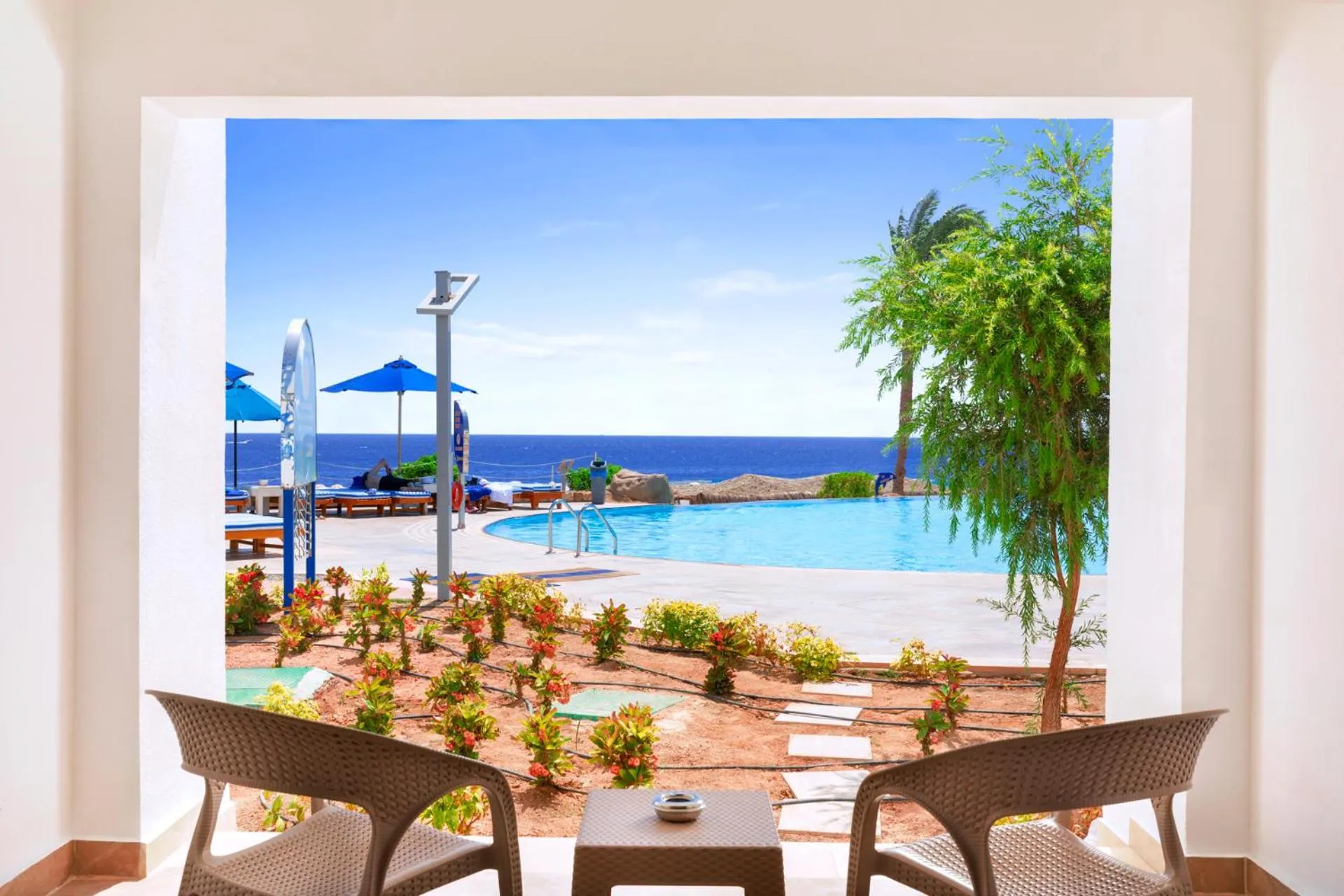 Pool view in Pickalbatros Palace Sharm "Aqua Park"- All inclusive