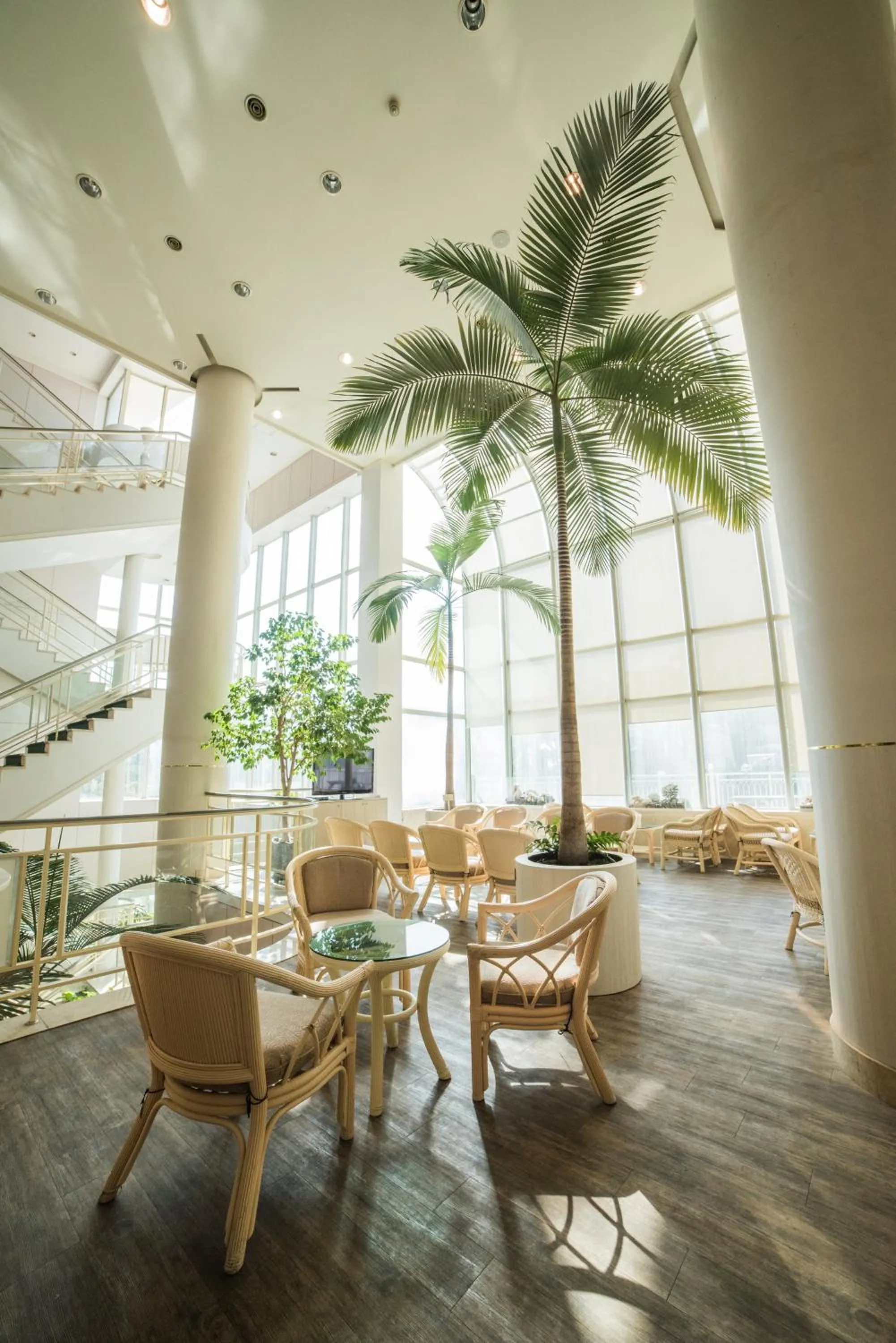 Lounge or bar in Bloom Hotel