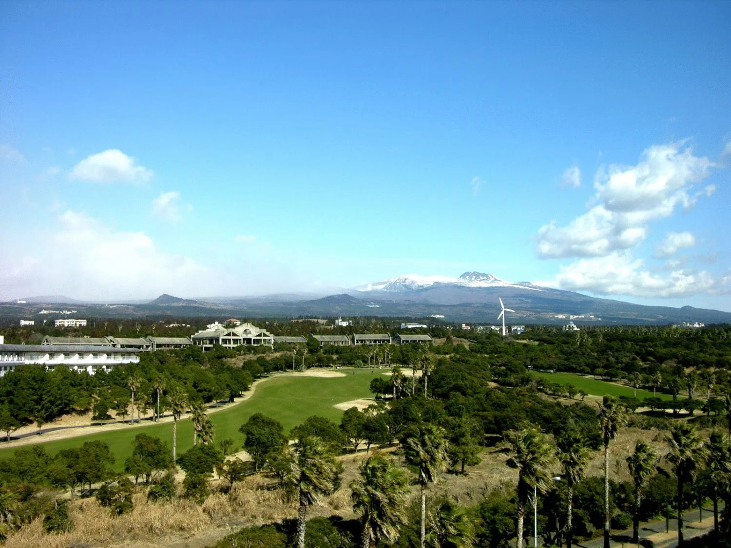 Other in Bloom Hotel