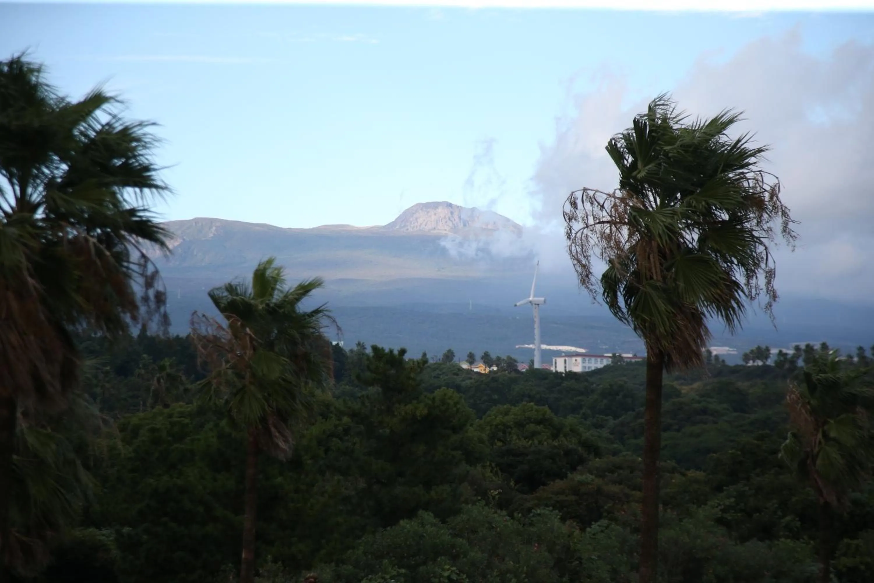 Mountain view in Bloom Hotel