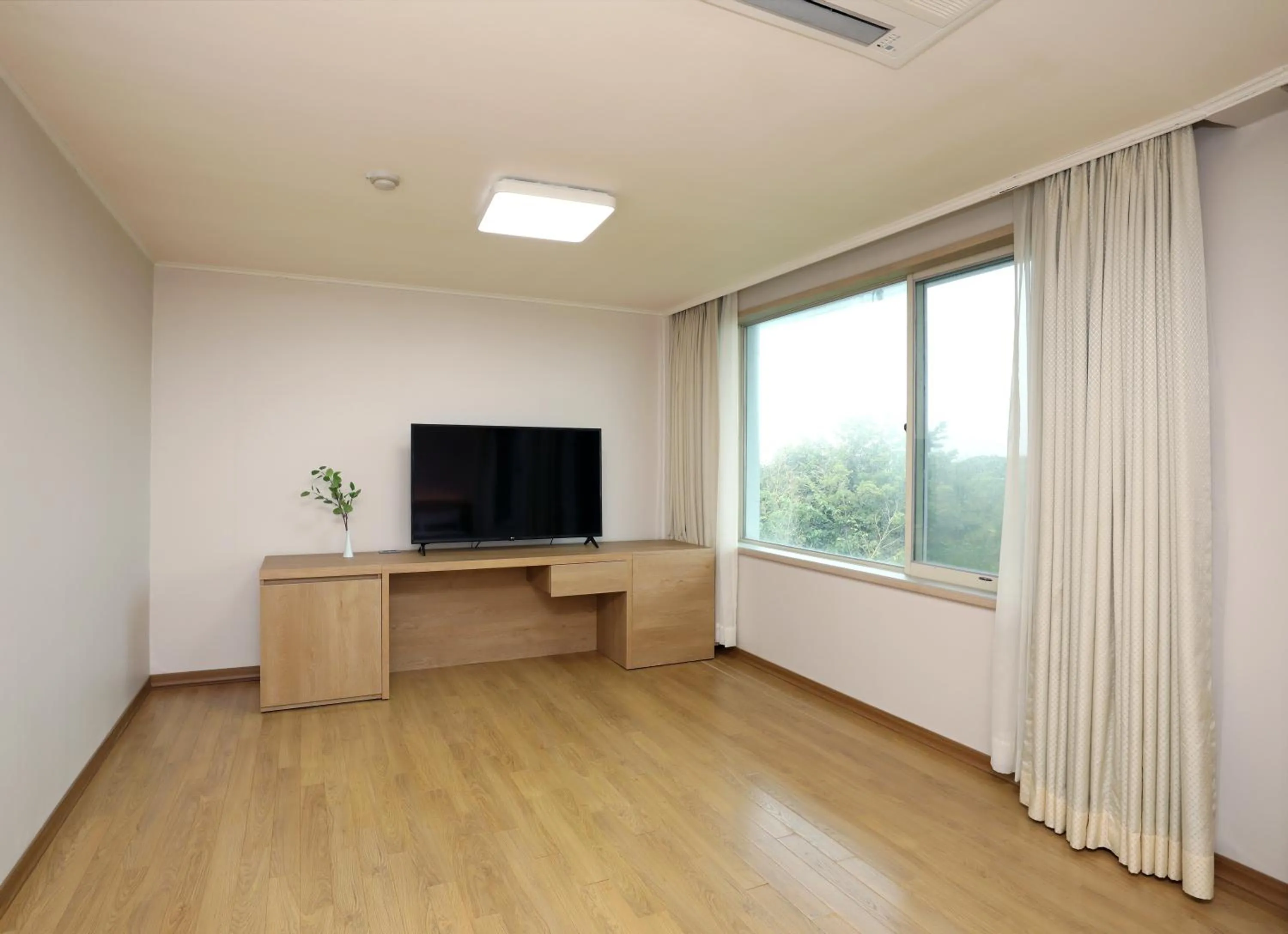 TV and multimedia in Bloom Hotel