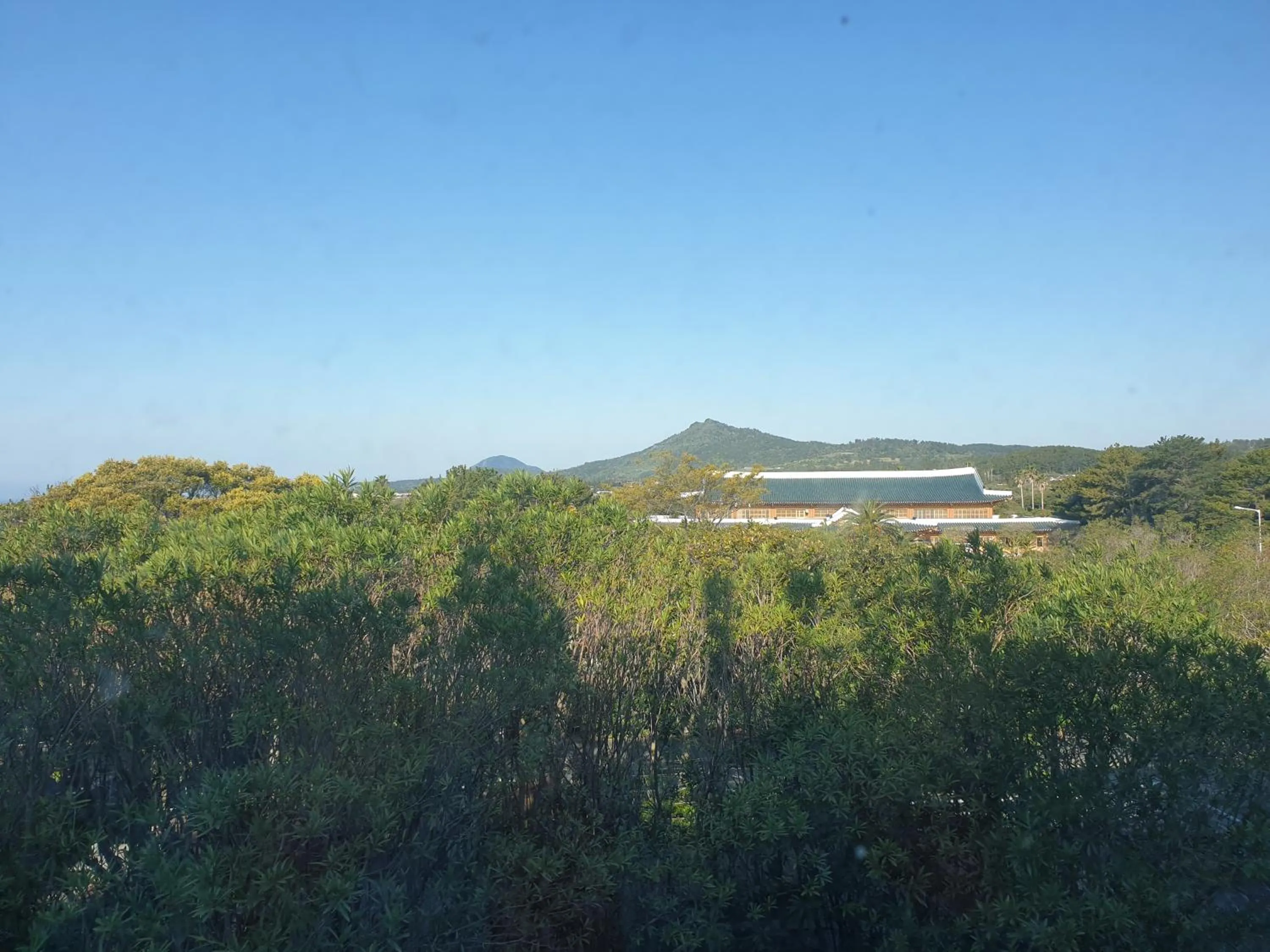 Mountain view in Bloom Hotel