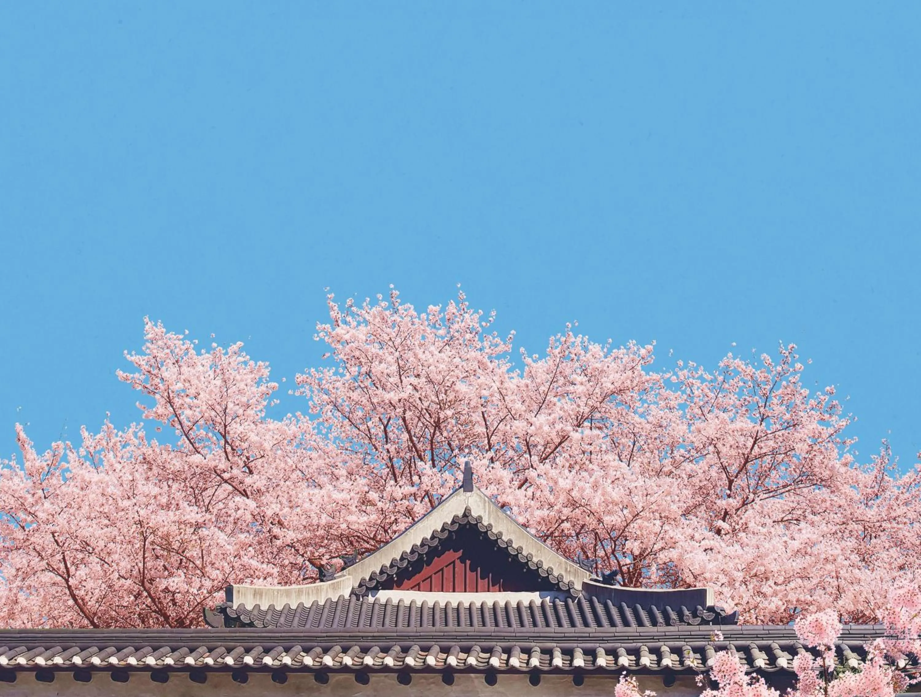 Day in Lahan Hotel Jeonju