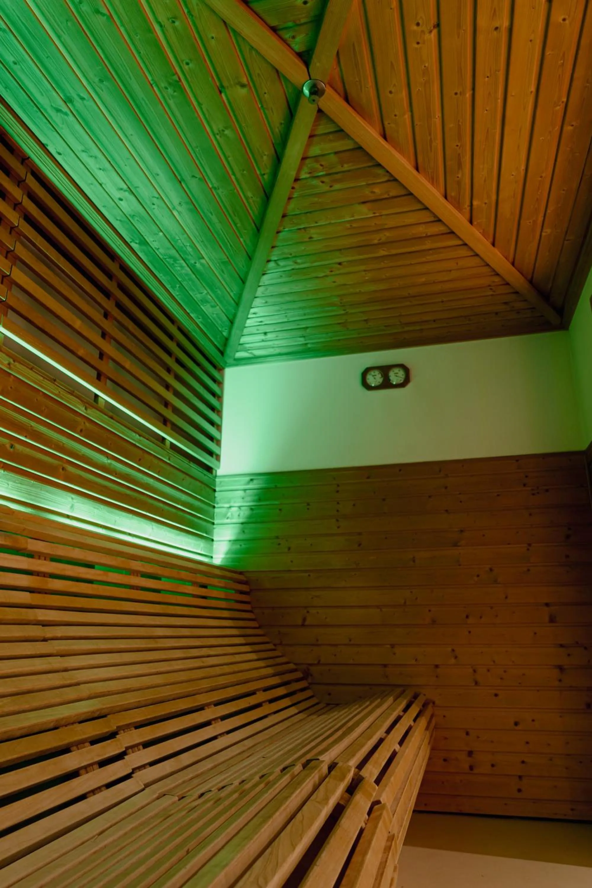 Sauna in Mercure Olbia