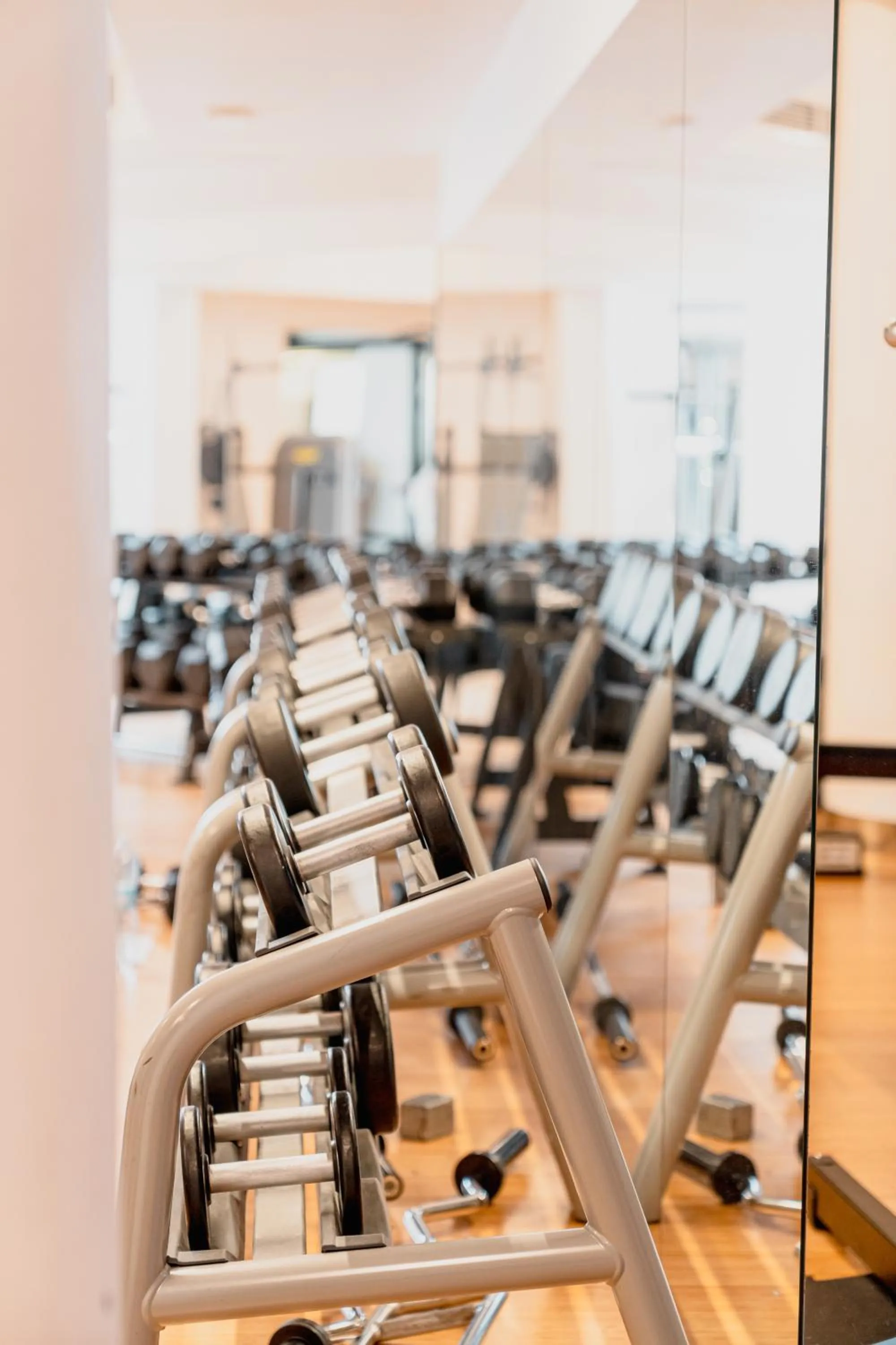 Fitness centre/facilities in Mercure Olbia